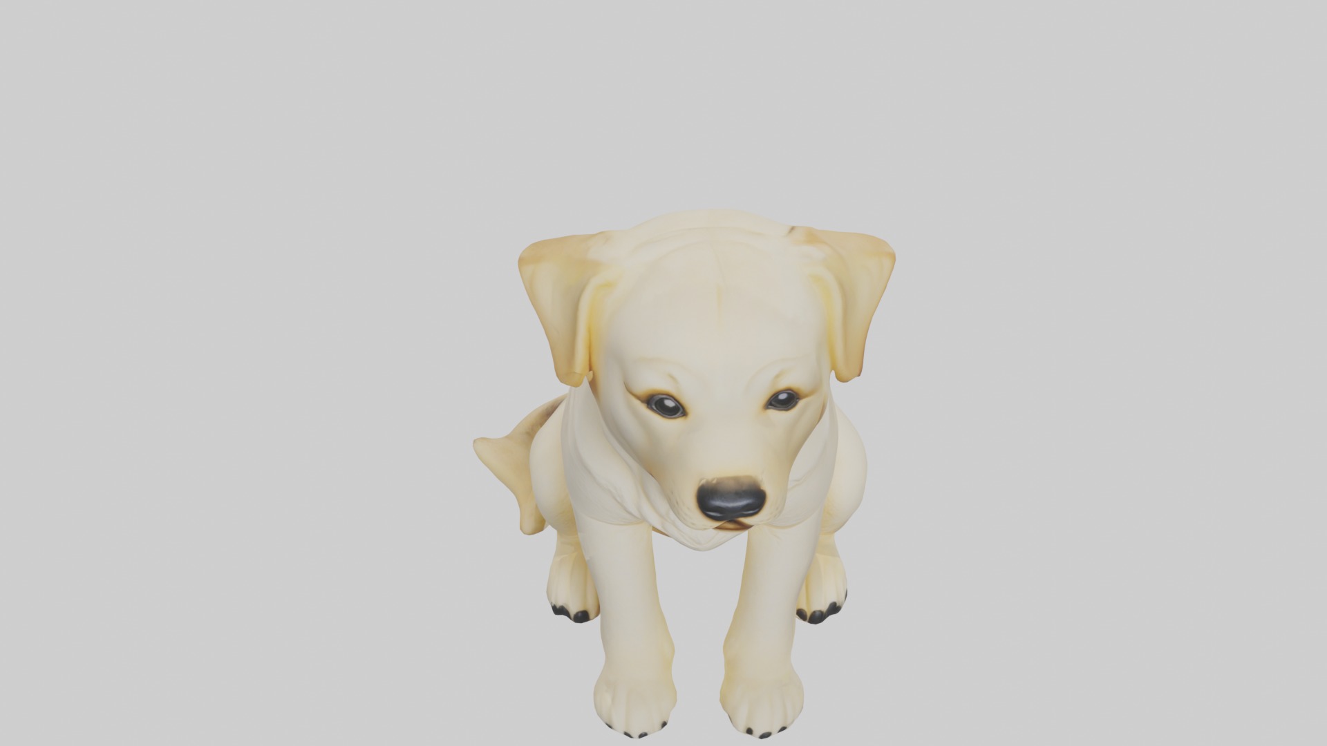 Sitting Labrador Retriever model Low-poly 3D model_10