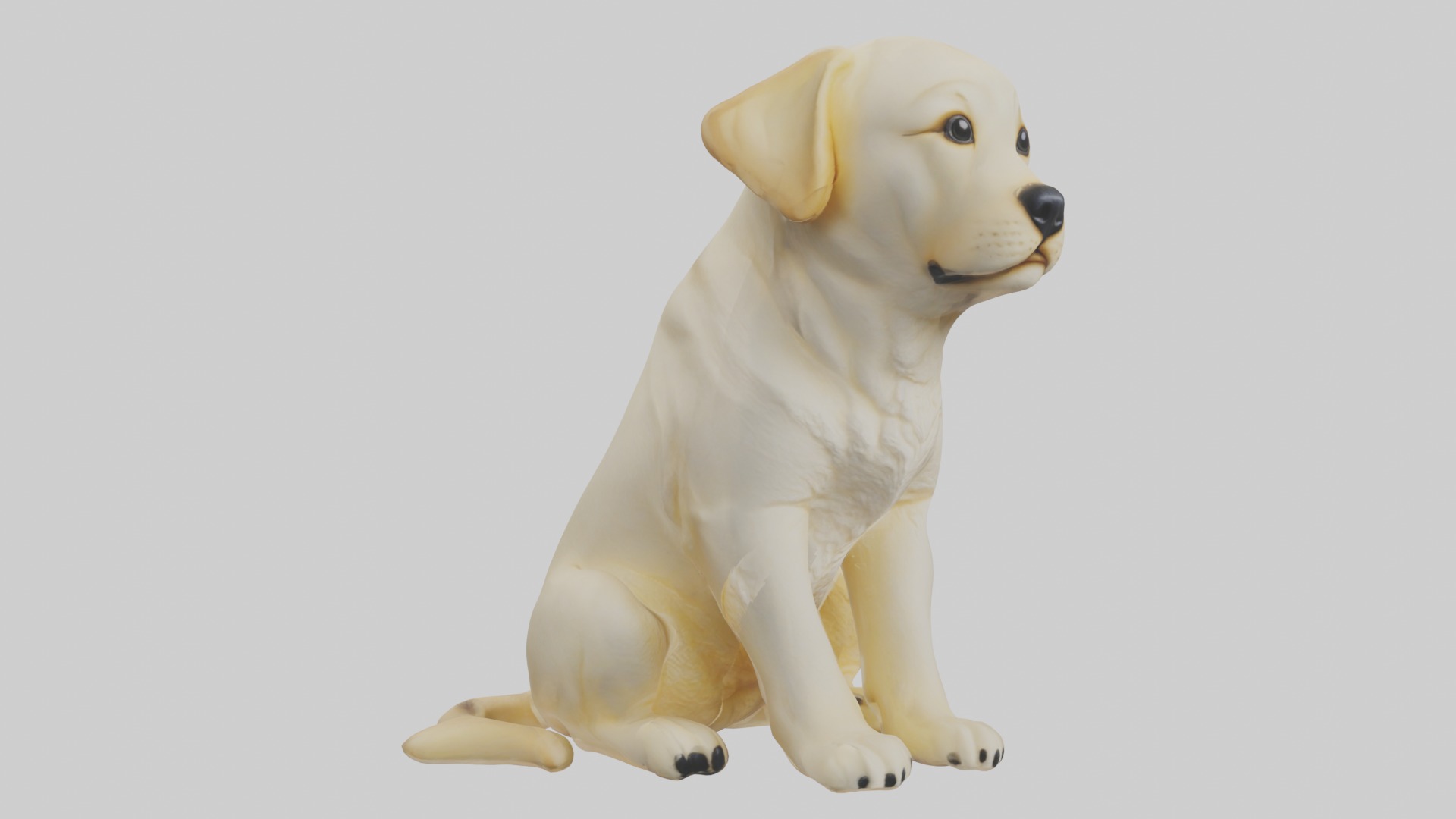 Sitting Labrador Retriever model Low-poly 3D model_5
