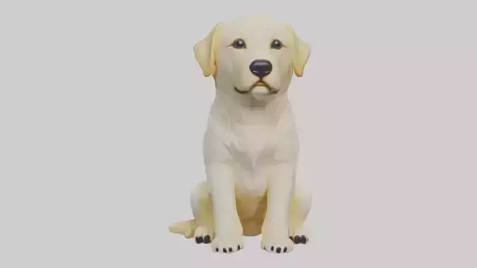 Sitting Labrador Retriever model