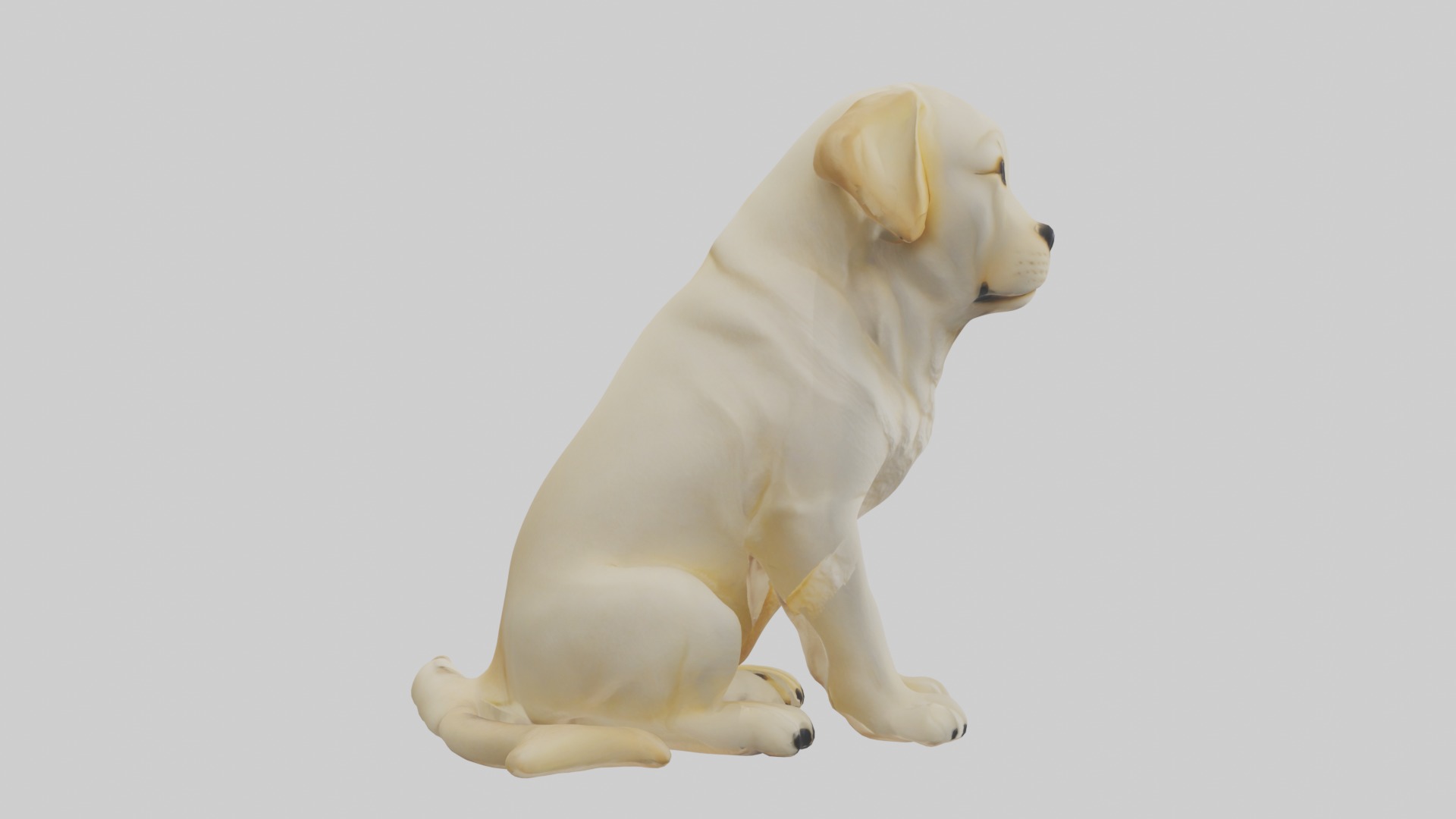 Sitting Labrador Retriever model Low-poly 3D model_7