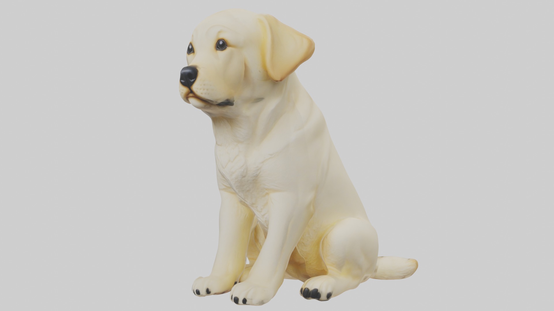 Sitting Labrador Retriever model Low-poly 3D model_4