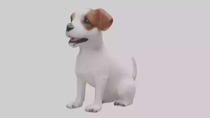Sitting Jack Russell Terrier model