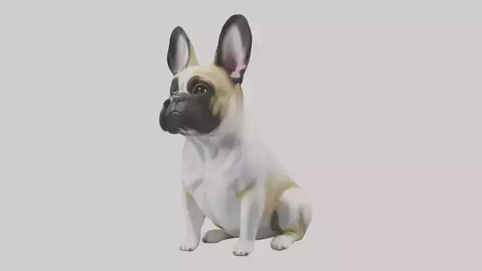 Sitting French Bulldog model