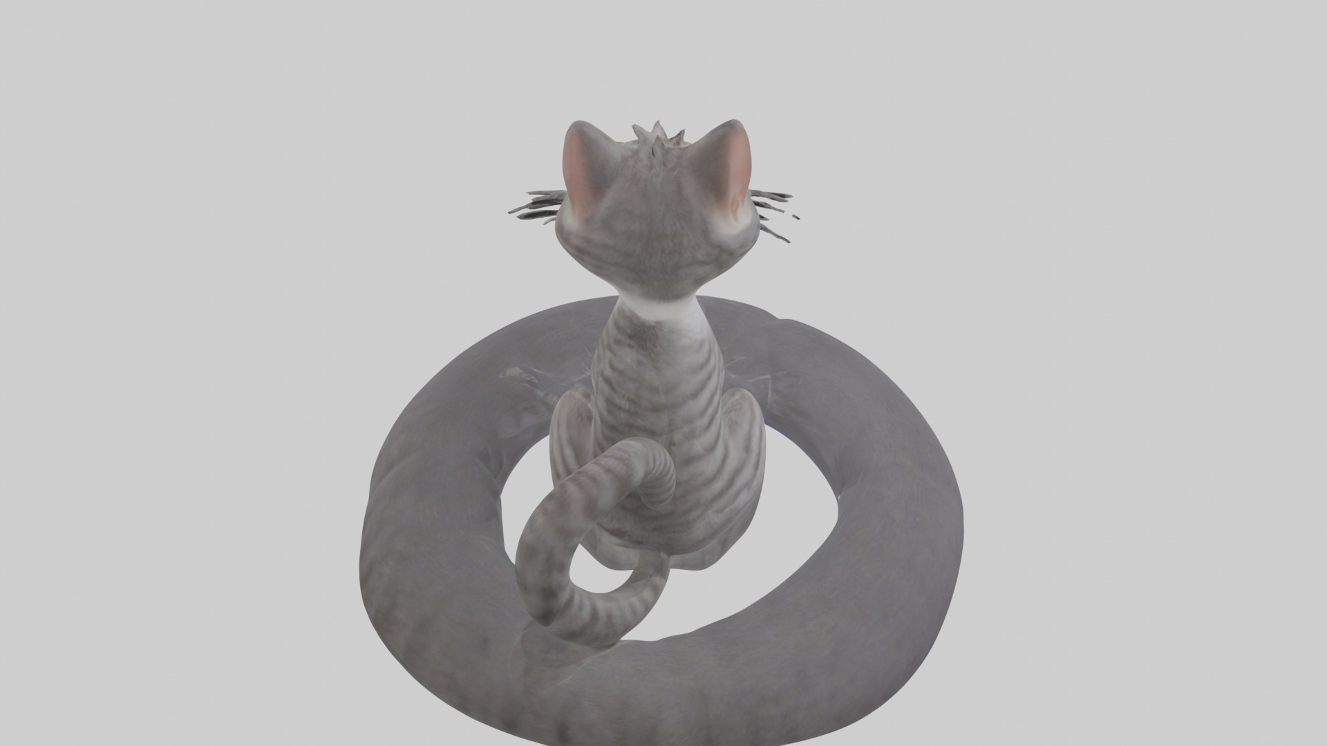 Sitting European Shorthair Cat model Low-poly 3D model_9