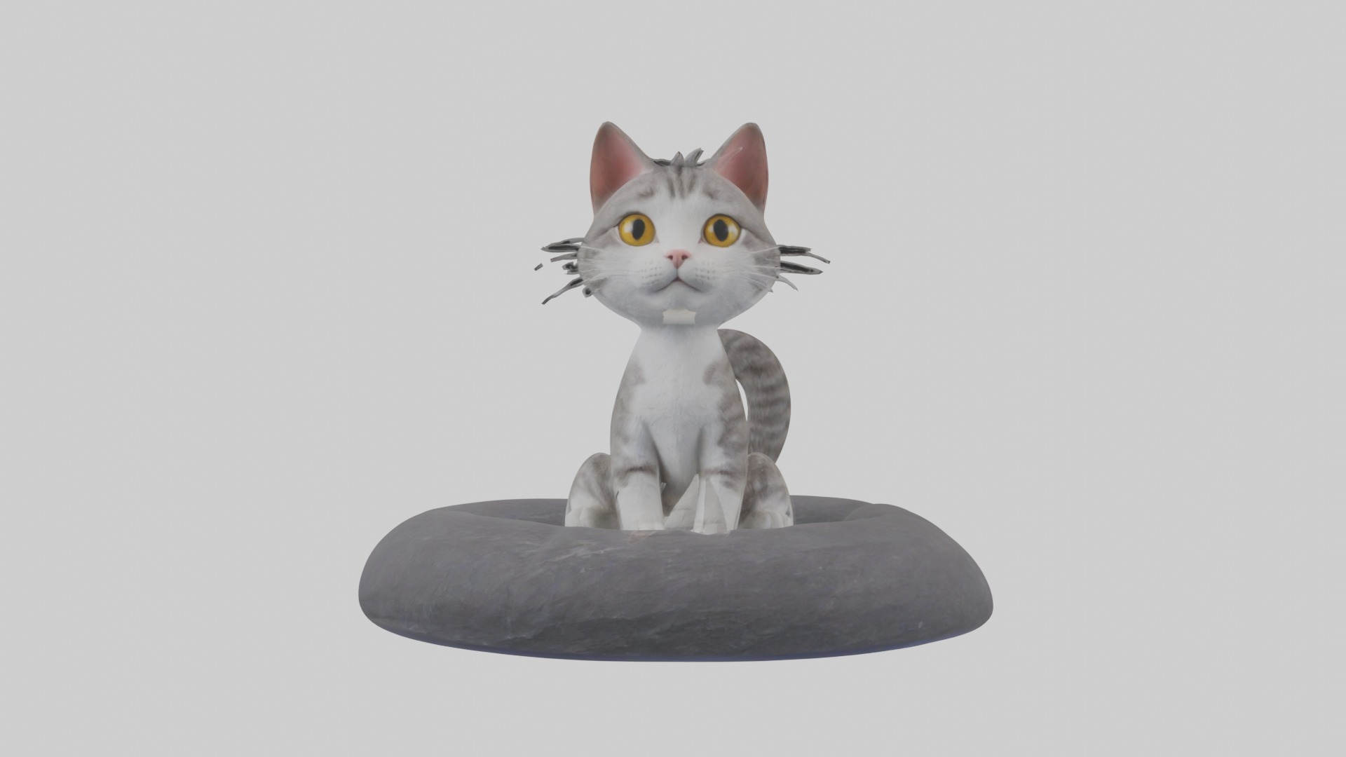 Sitting European Shorthair Cat model Low-poly 3D model_4