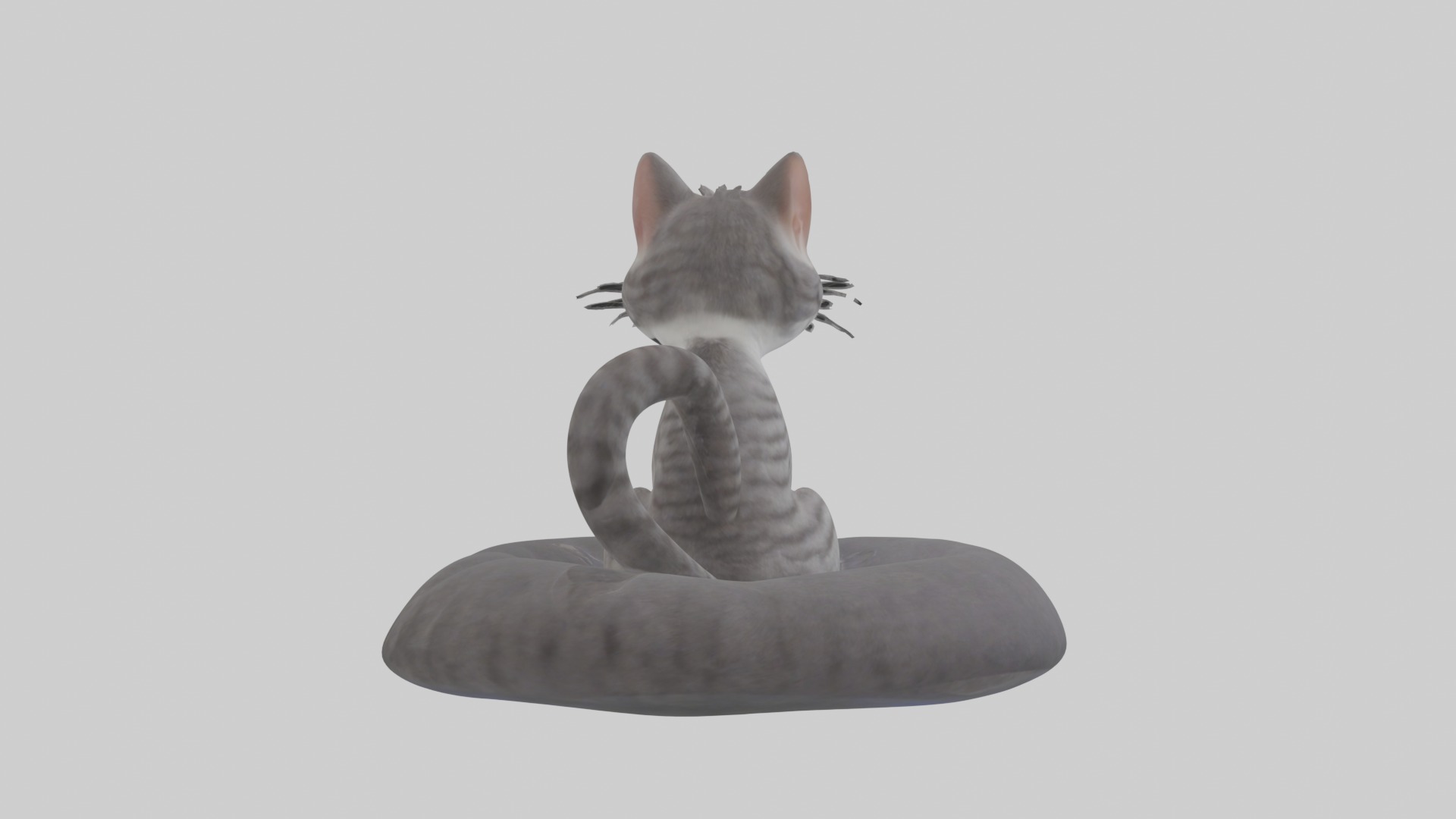 Sitting European Shorthair Cat model Low-poly 3D model_1