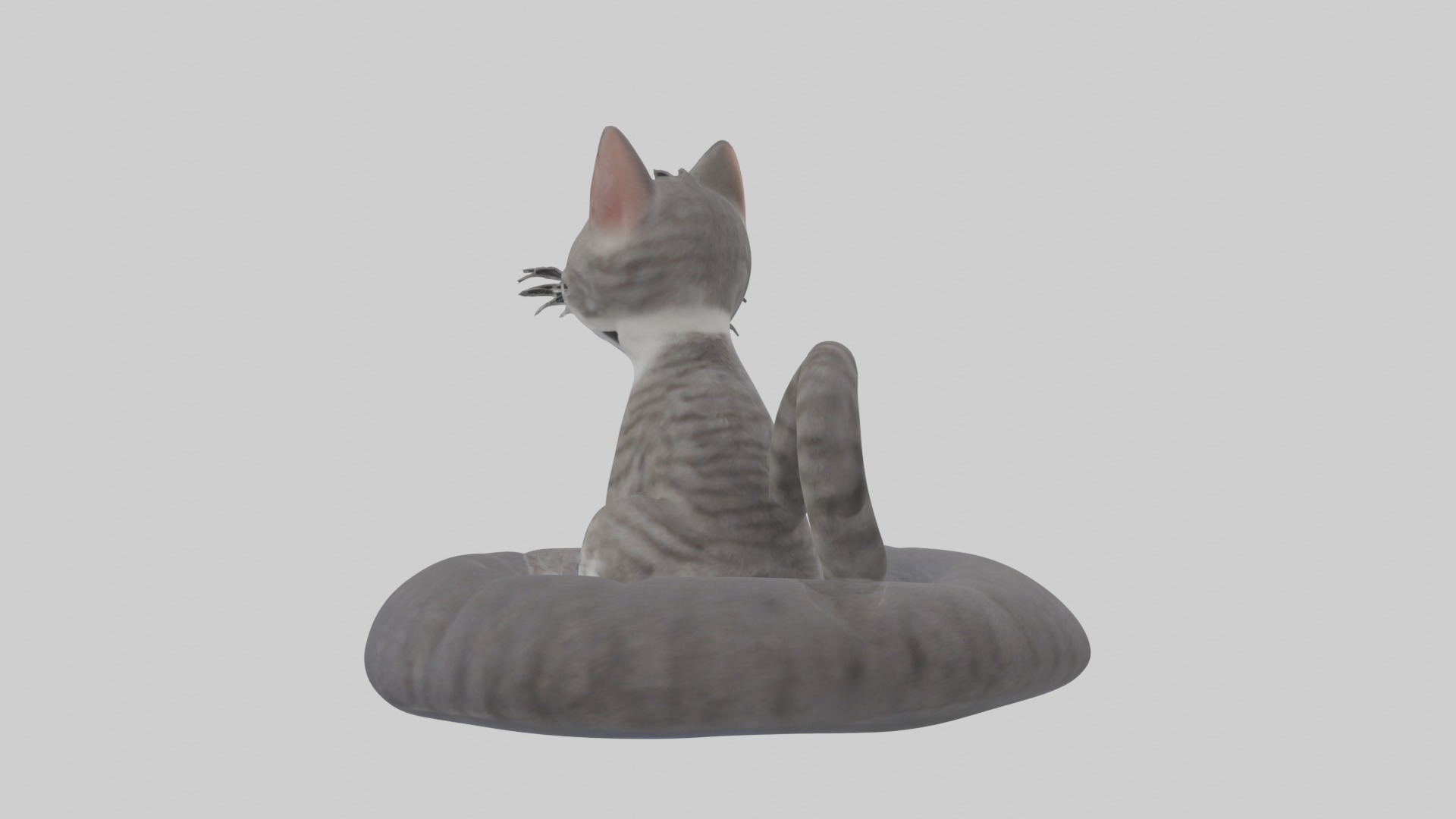 Sitting European Shorthair Cat model Low-poly 3D model_2