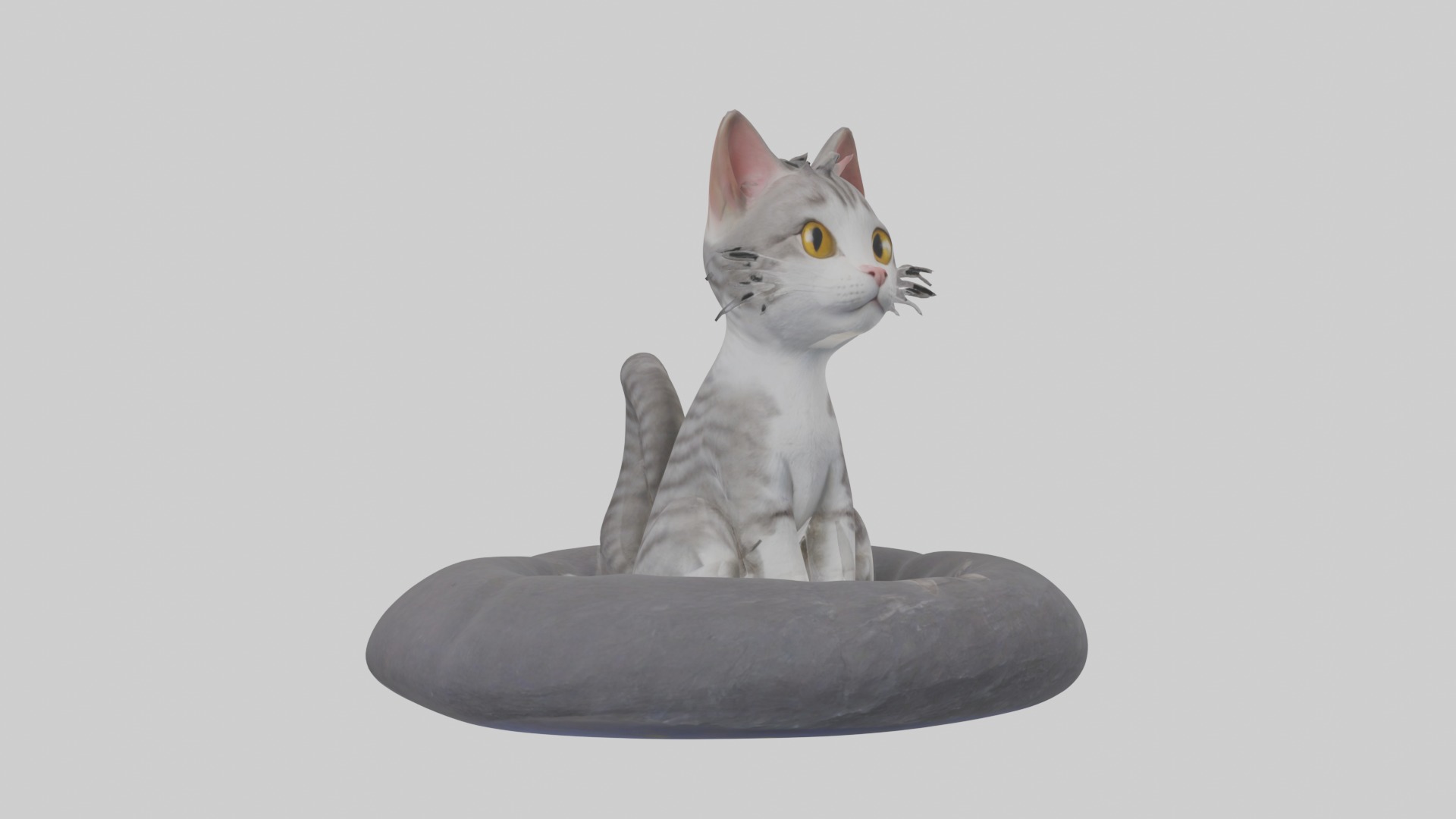 Sitting European Shorthair Cat model Low-poly 3D model_5