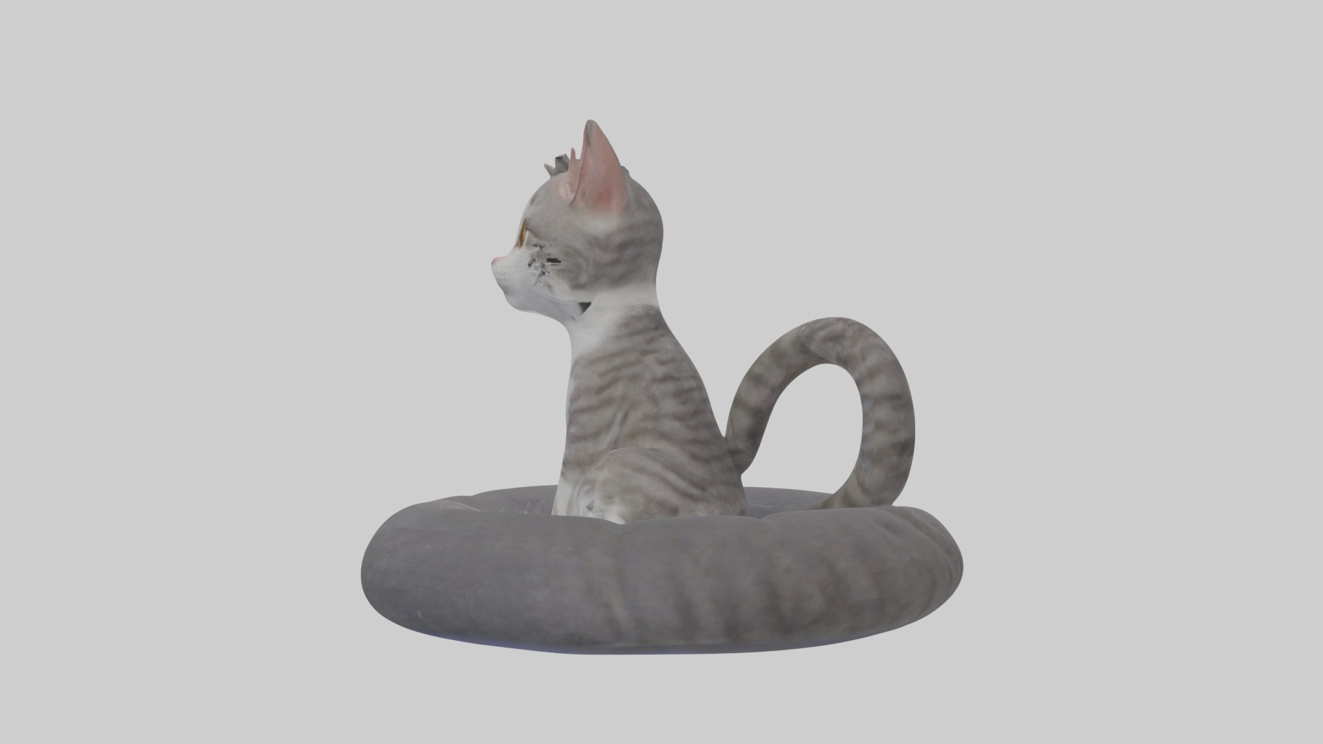 Sitting European Shorthair Cat model Low-poly 3D model_6