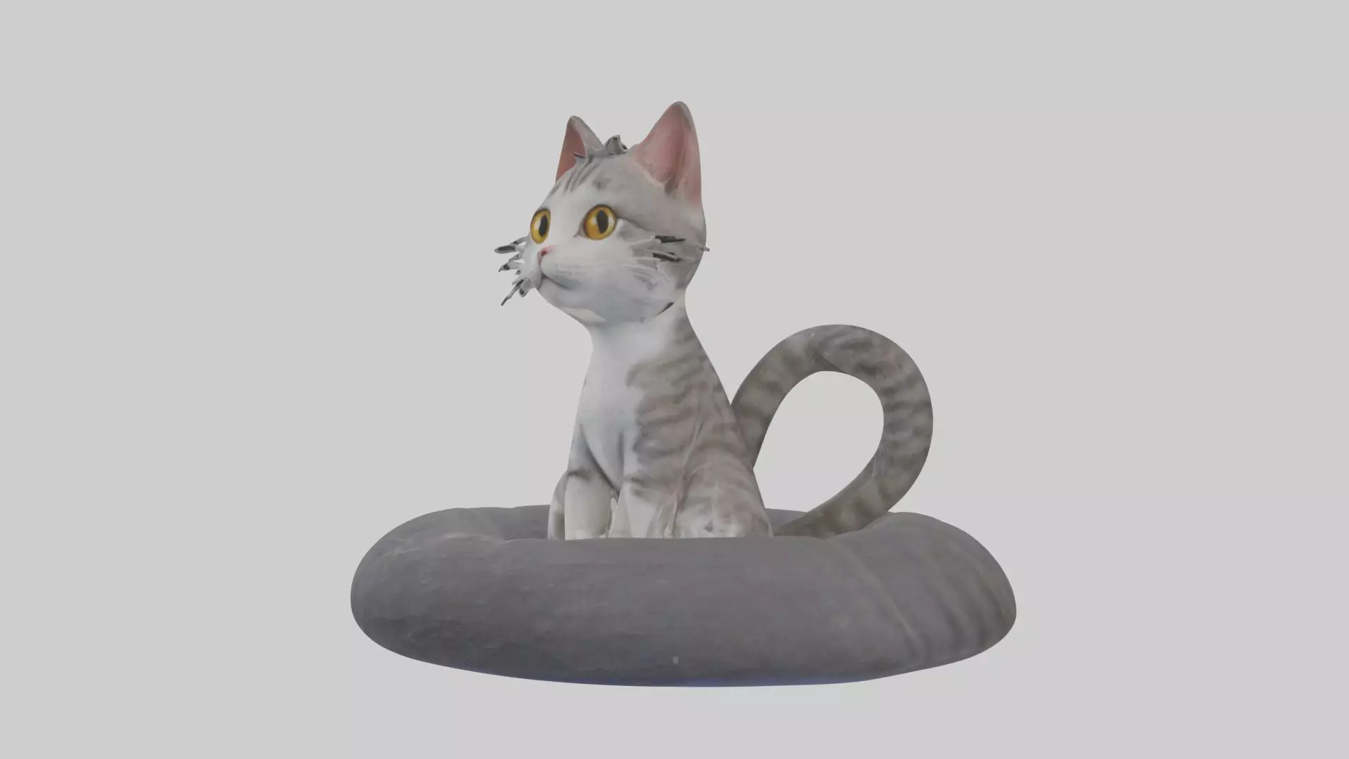 Sitting European Shorthair Cat model Low-poly 3D model_0