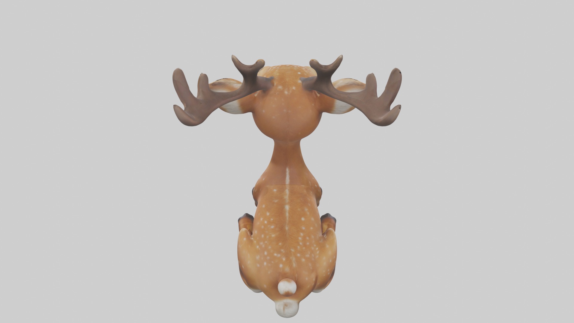 Sitting Deer Model Low-poly 3D model_9