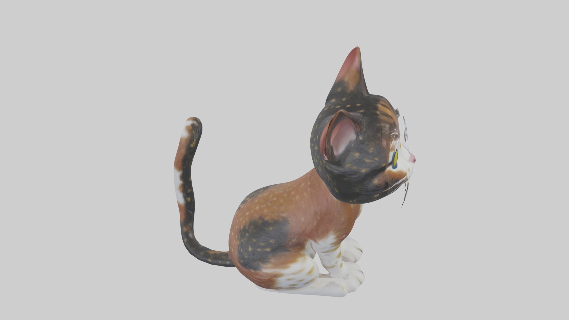 Sitting California Spangled Cat model Low-poly 3D model_12