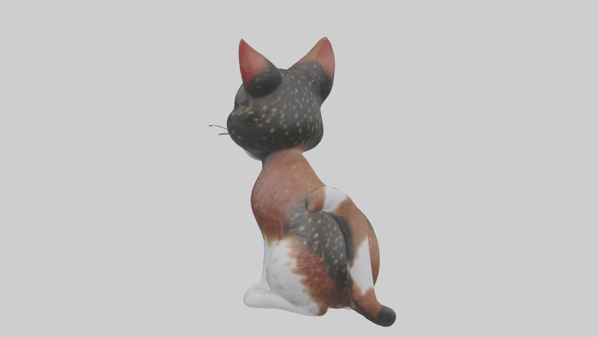 Sitting California Spangled Cat model Low-poly 3D model_3