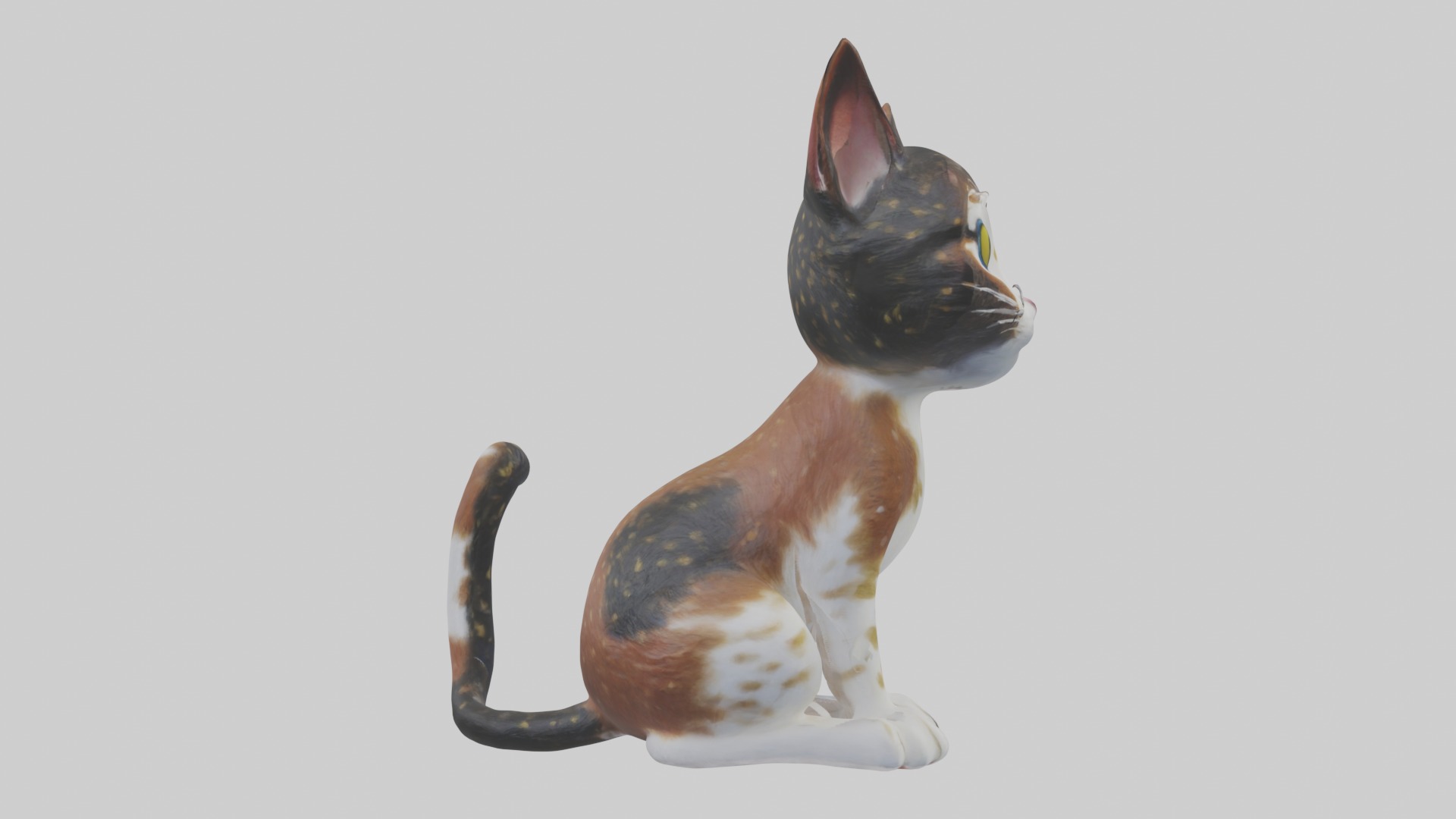 Sitting California Spangled Cat model Low-poly 3D model_7