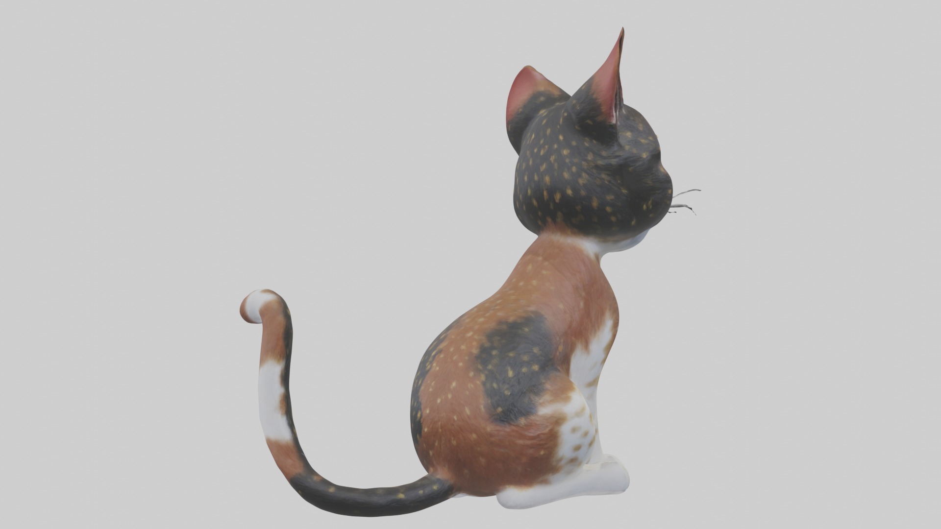 Sitting California Spangled Cat model Low-poly 3D model_4