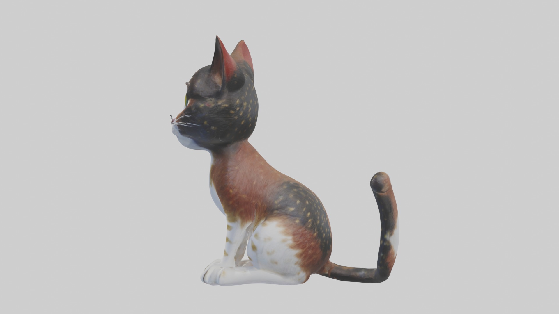 Sitting California Spangled Cat model Low-poly 3D model_6
