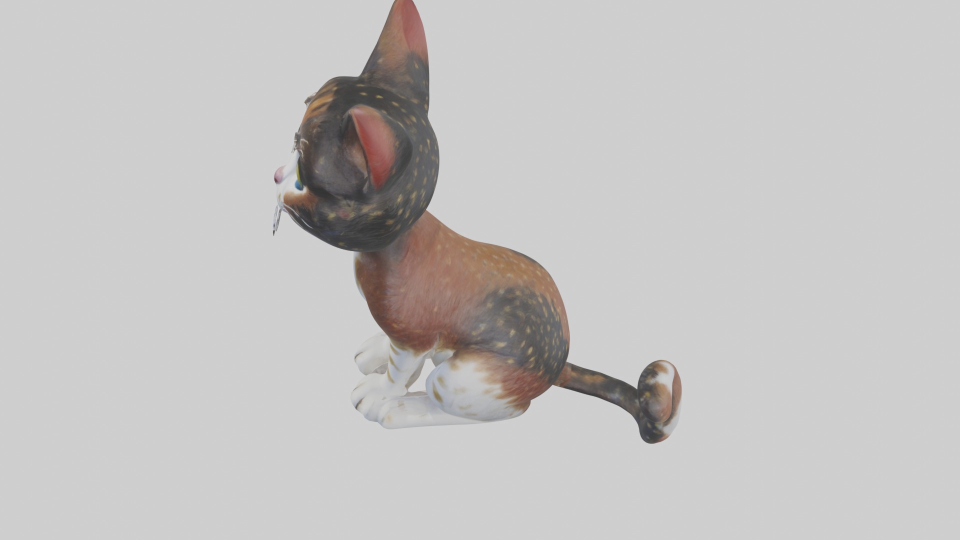 Sitting California Spangled Cat model Low-poly 3D model_11