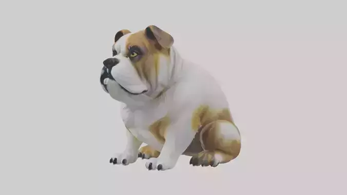 Sitting Bulldog model