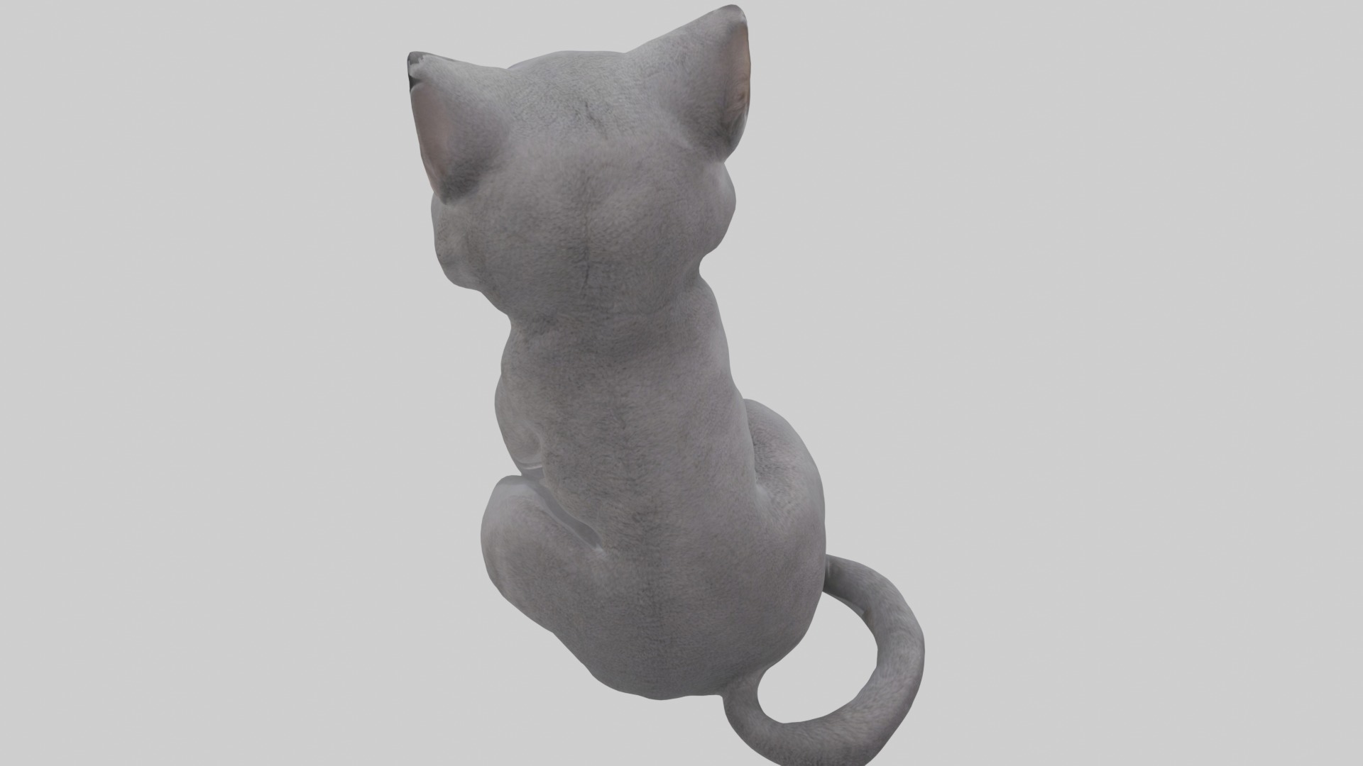 Sitting British Shorthair Cat model Low-poly 3D model_9