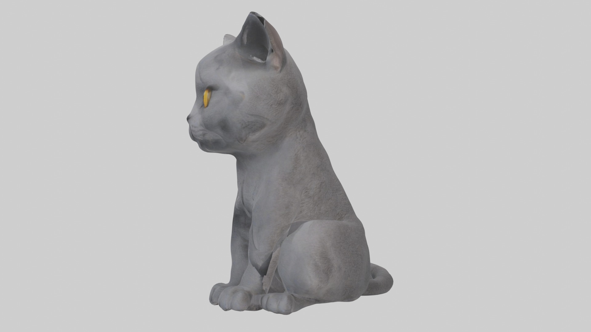 Sitting British Shorthair Cat model Low-poly 3D model_6