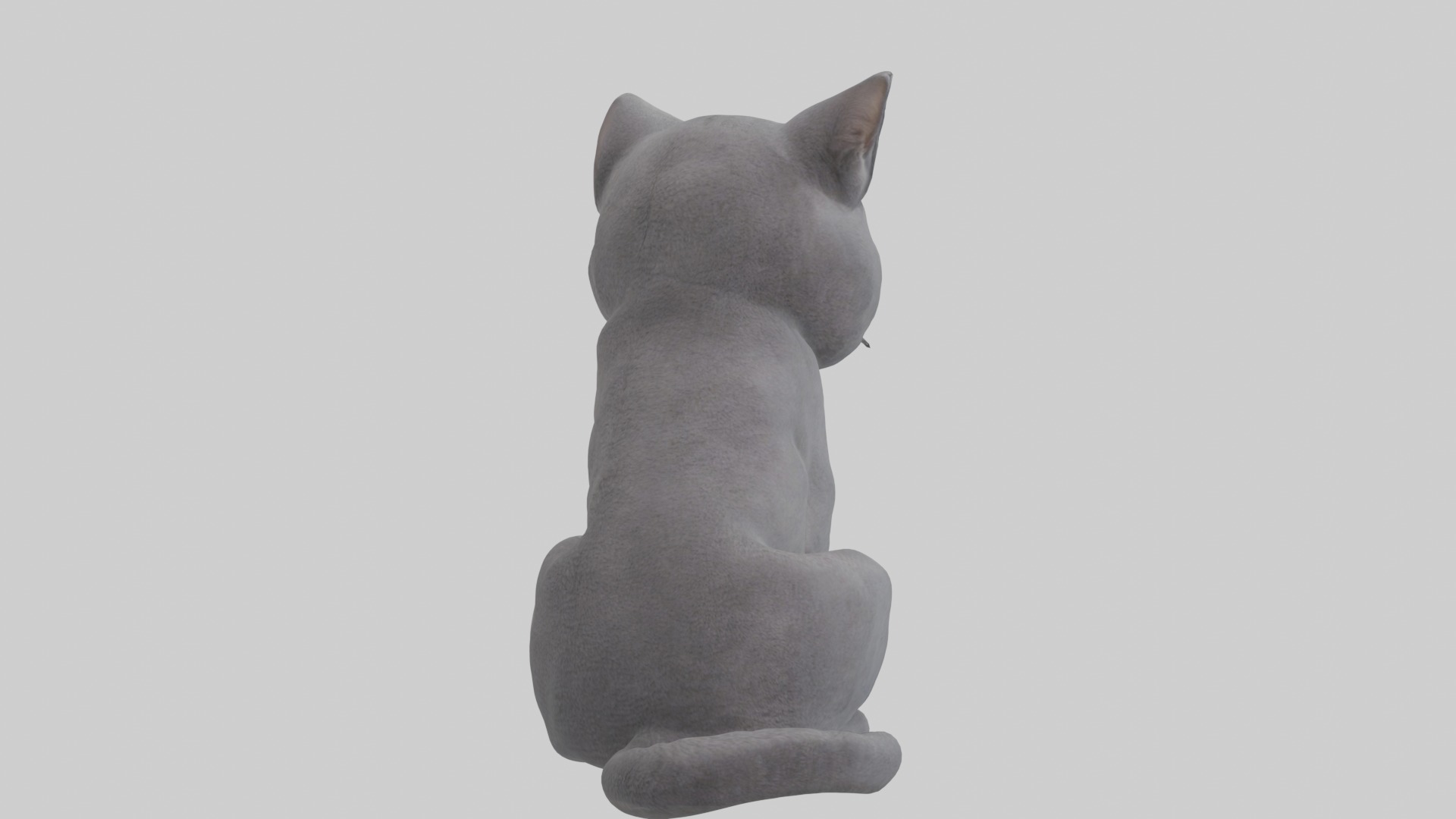 Sitting British Shorthair Cat model Low-poly 3D model_4