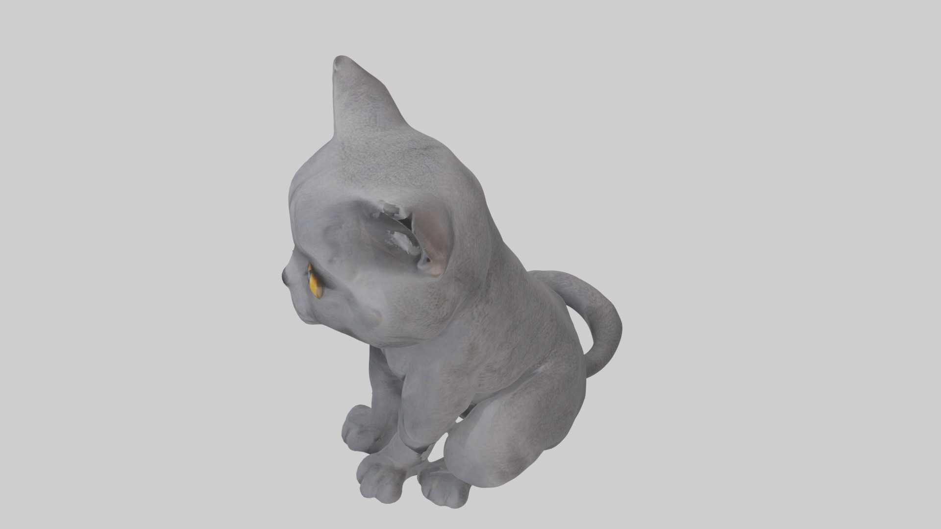 Sitting British Shorthair Cat model Low-poly 3D model_11