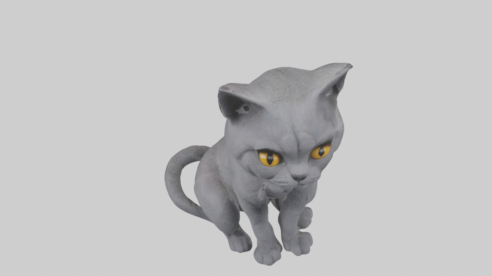Sitting British Shorthair Cat model Low-poly 3D model_10
