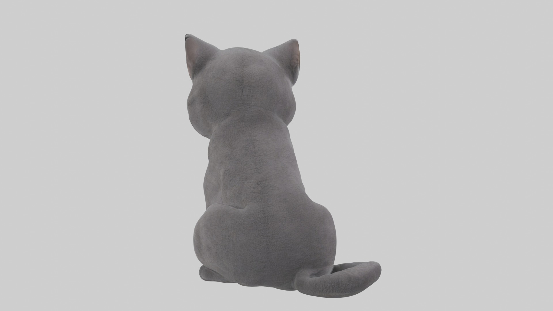 Sitting British Shorthair Cat model Low-poly 3D model_2