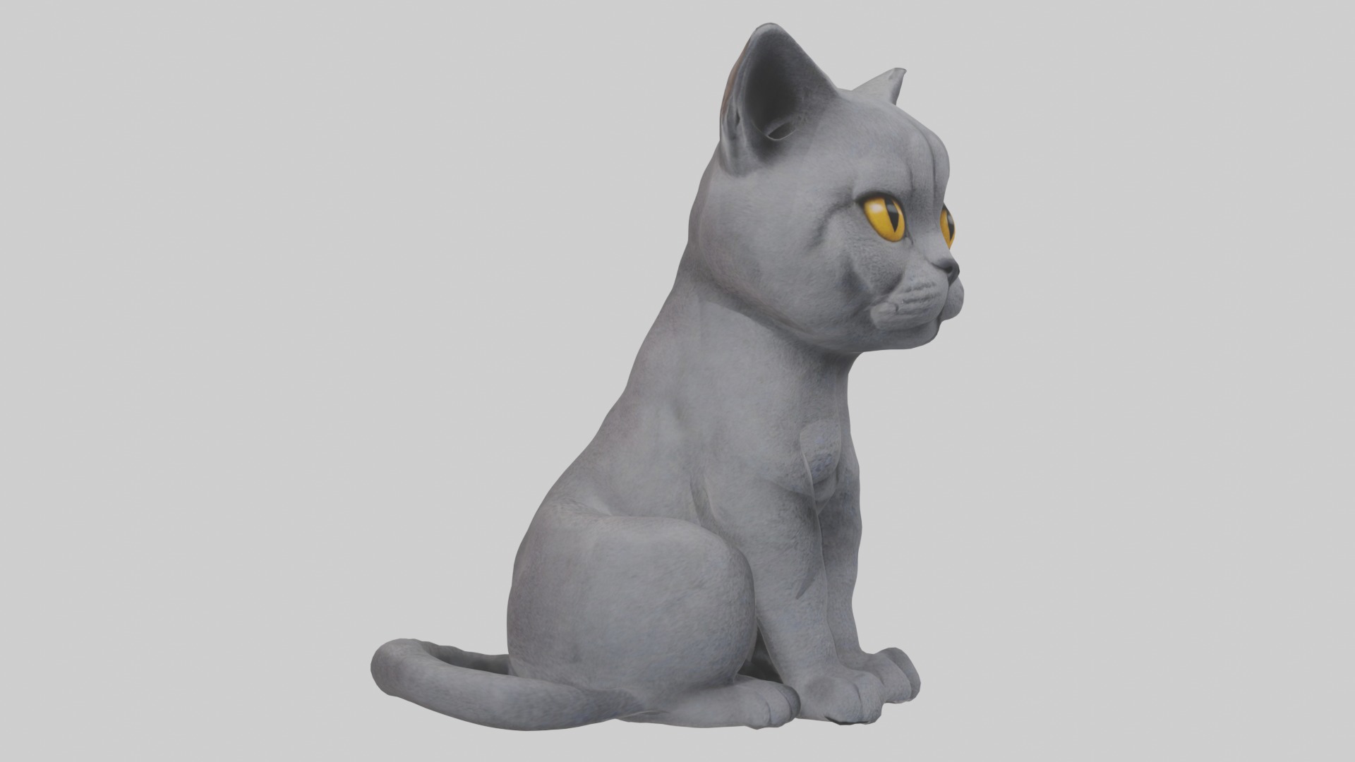 Sitting British Shorthair Cat model Low-poly 3D model_5
