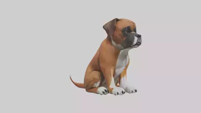 Sitting Boxer model