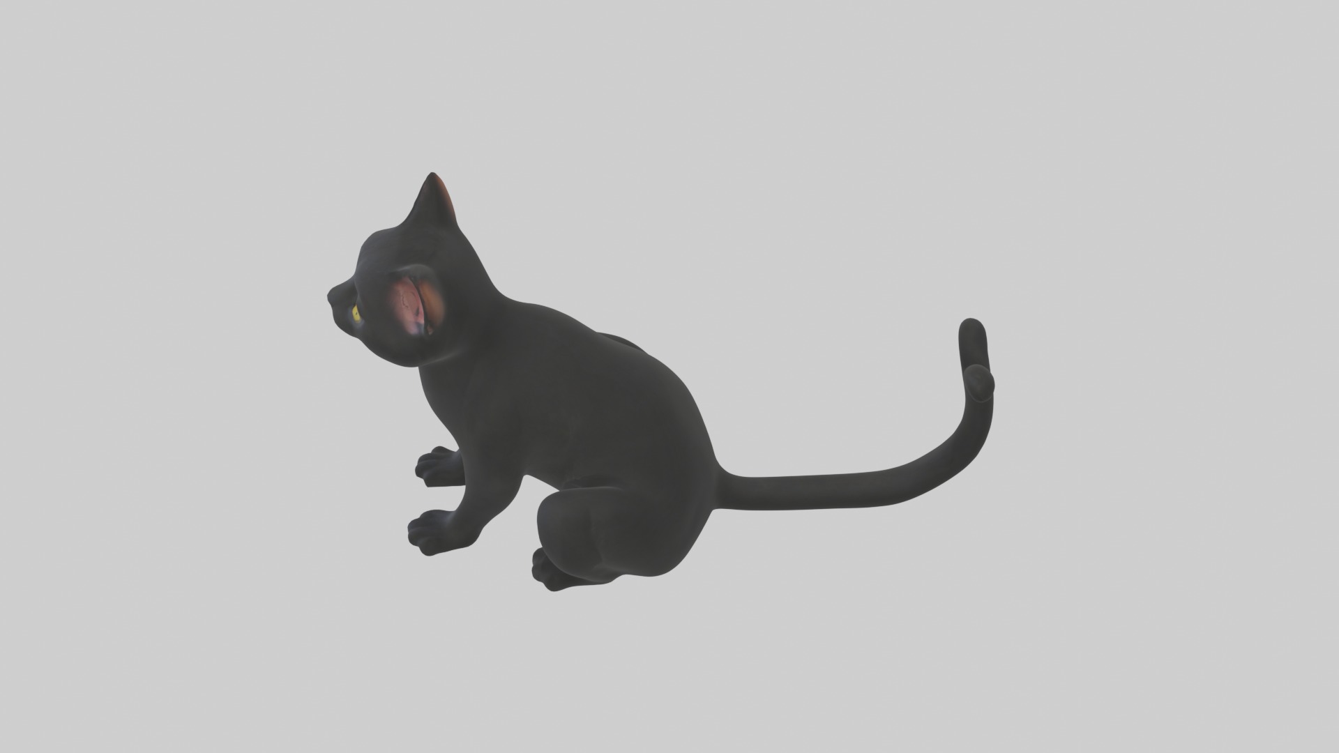 Sitting Bombay Cat model Low-poly 3D model_11