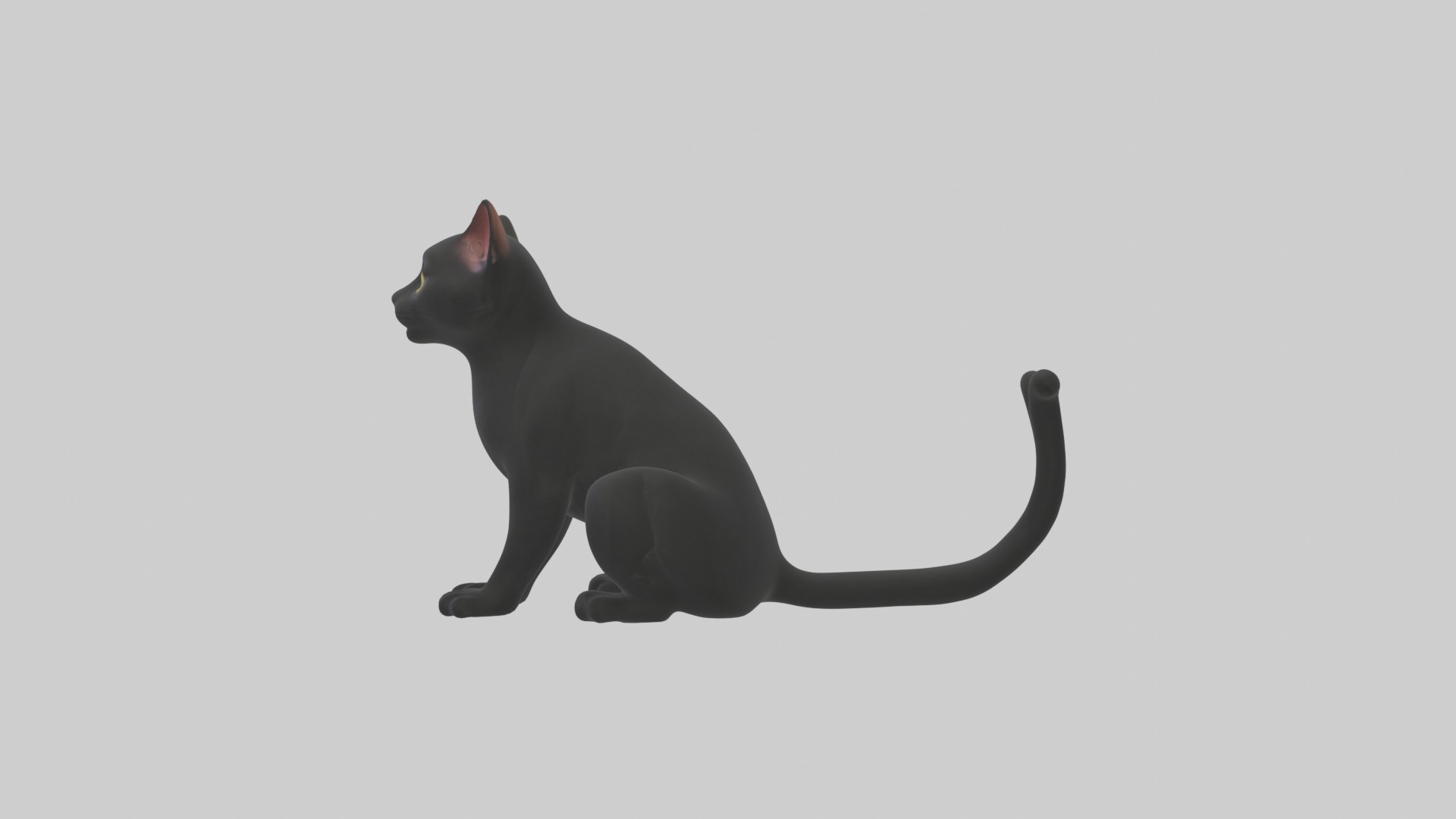 Sitting Bombay Cat model Low-poly 3D model_6