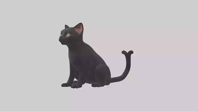 Sitting Bombay Cat model