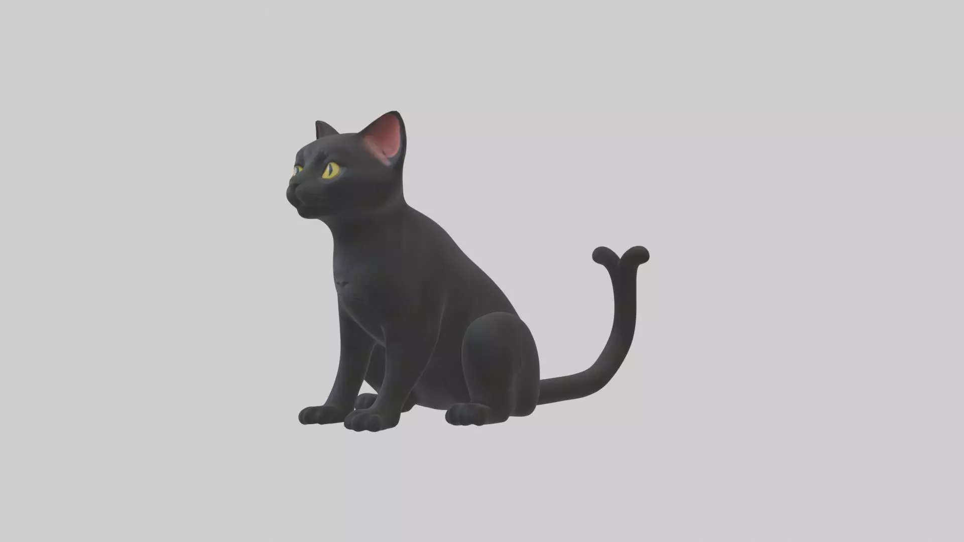 Sitting Bombay Cat model Low-poly 3D model_0