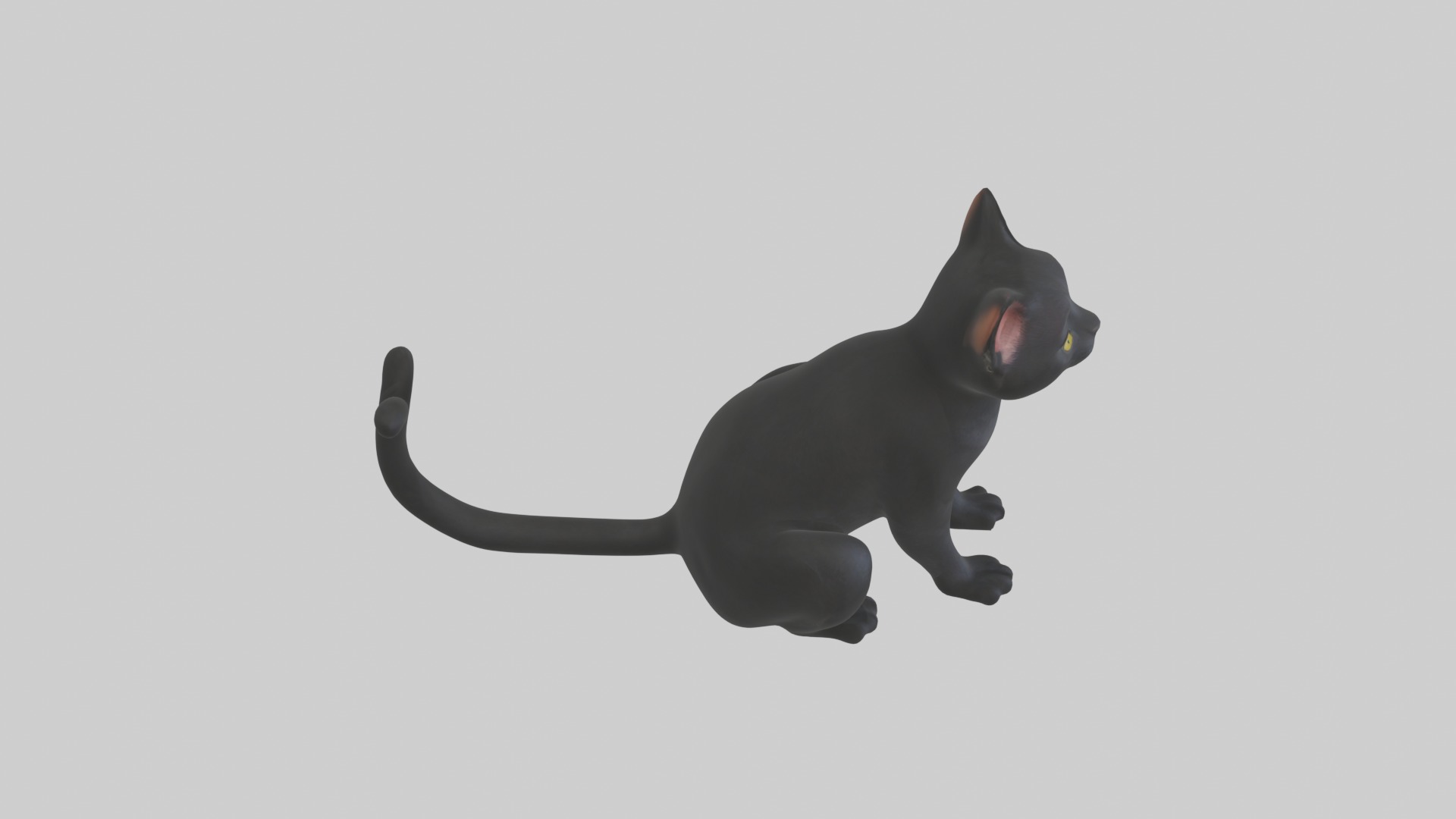 Sitting Bombay Cat model Low-poly 3D model_12