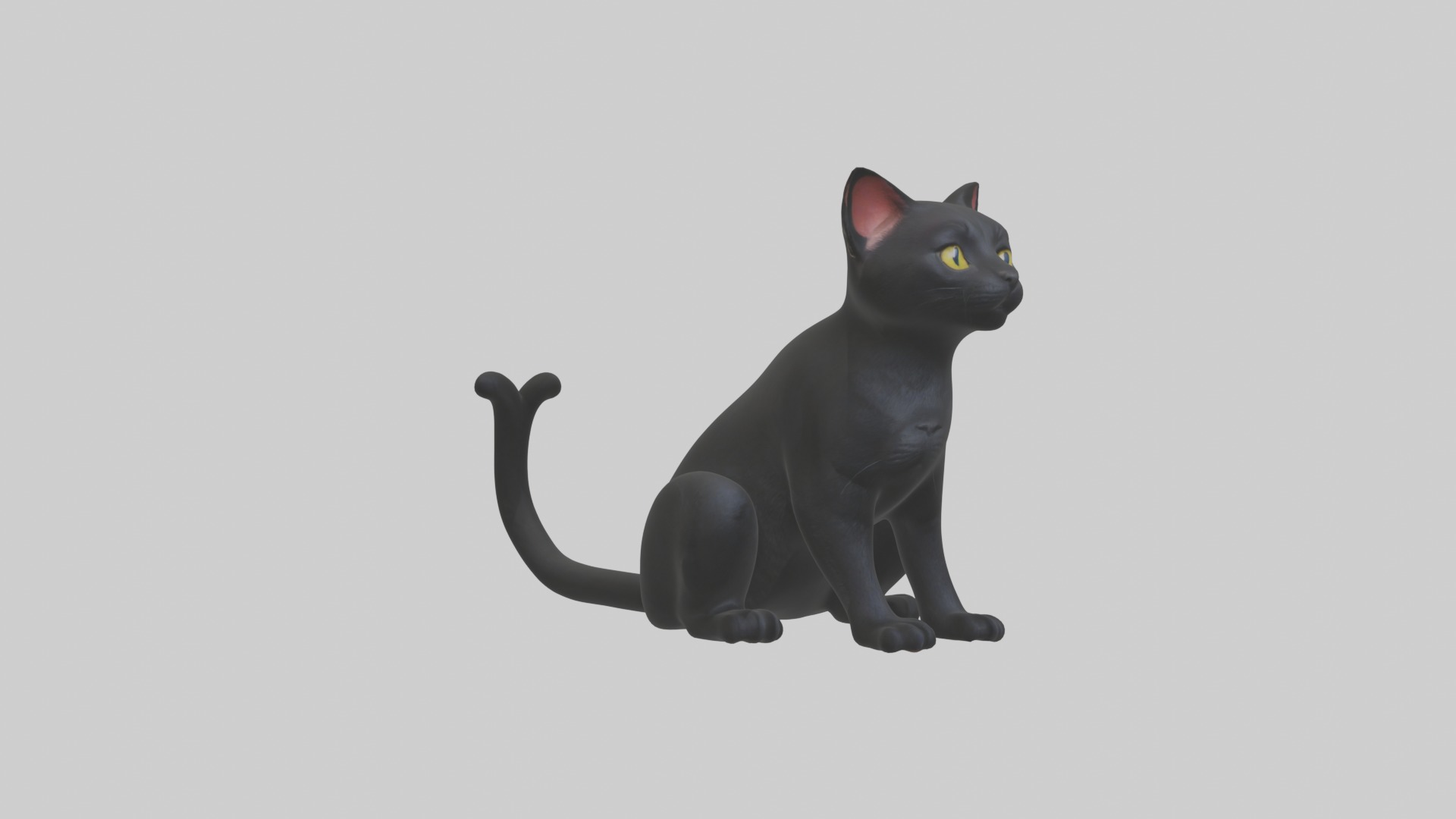Sitting Bombay Cat model Low-poly 3D model_5