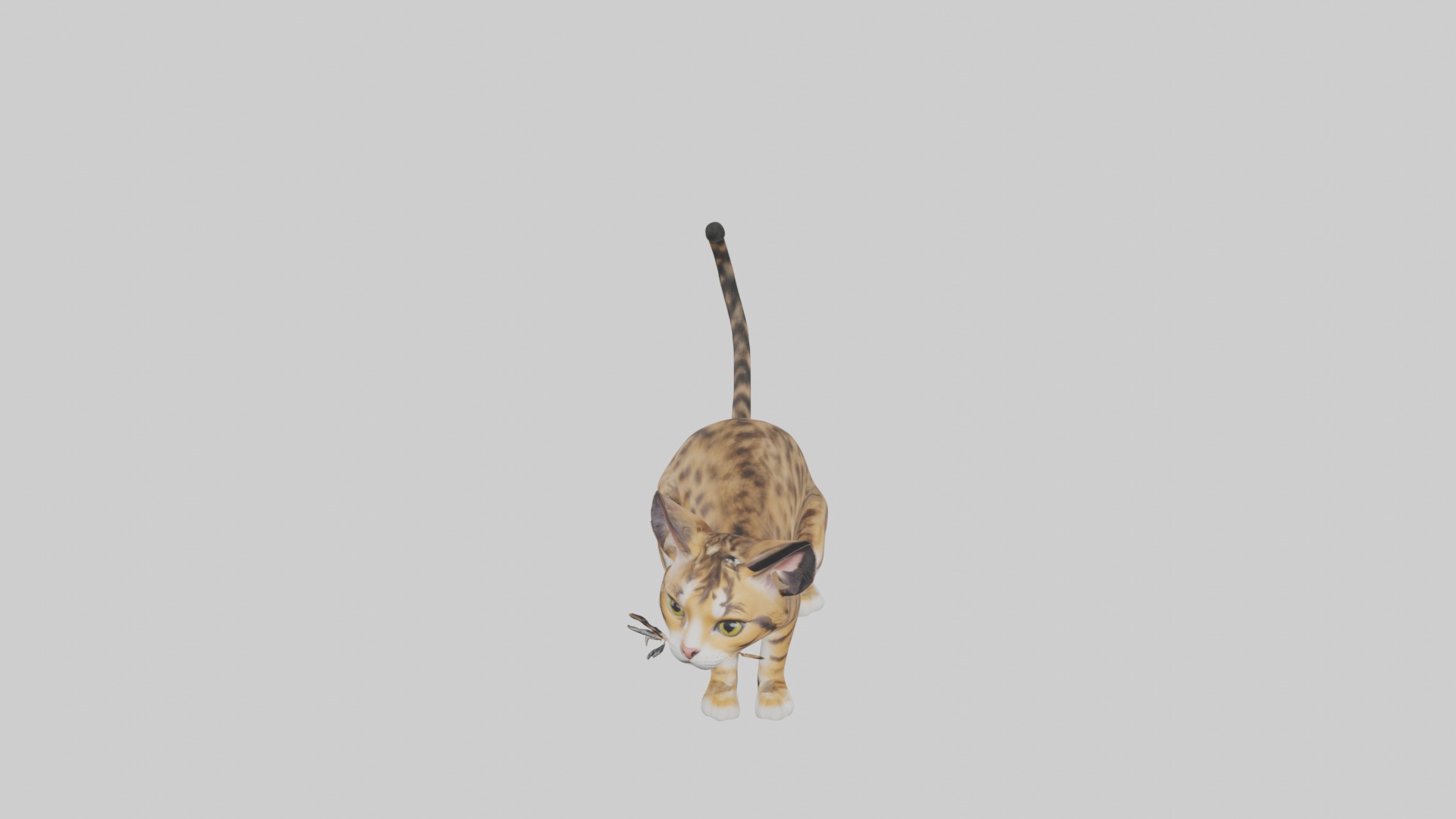 Sitting Bengal Longhair Cat model Low-poly 3D model_10