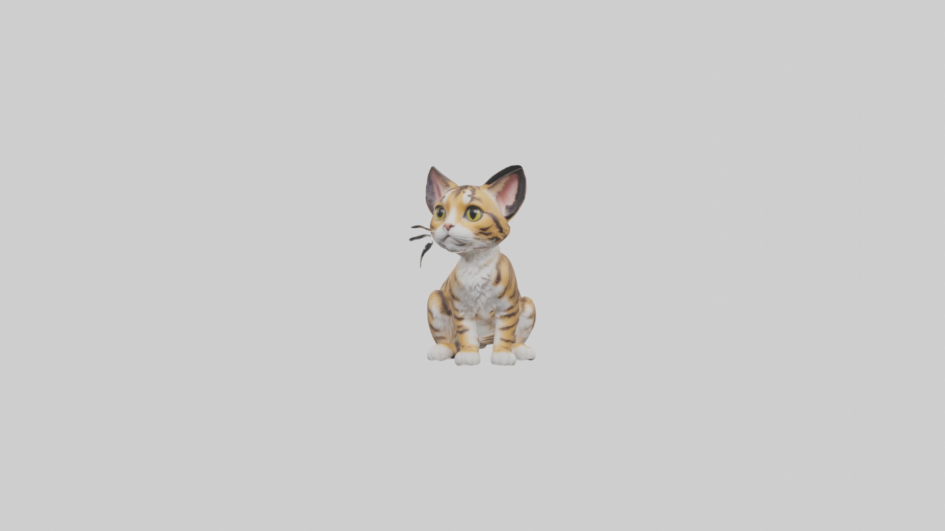 Sitting Bengal Longhair Cat model Low-poly 3D model_4