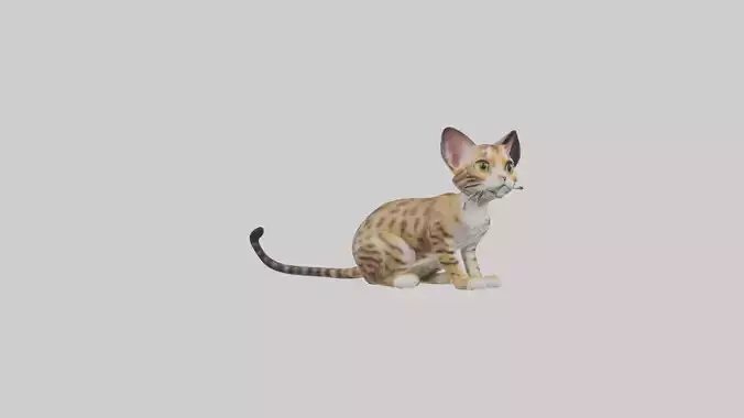 Sitting Bengal Longhair Cat model Low-poly 3D model