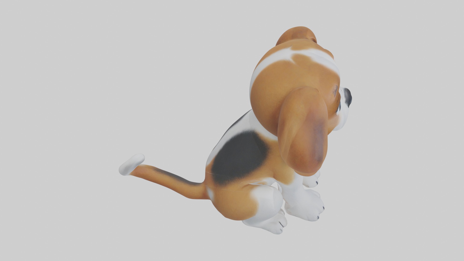 Sitting Beagle model Low-poly 3D model_12