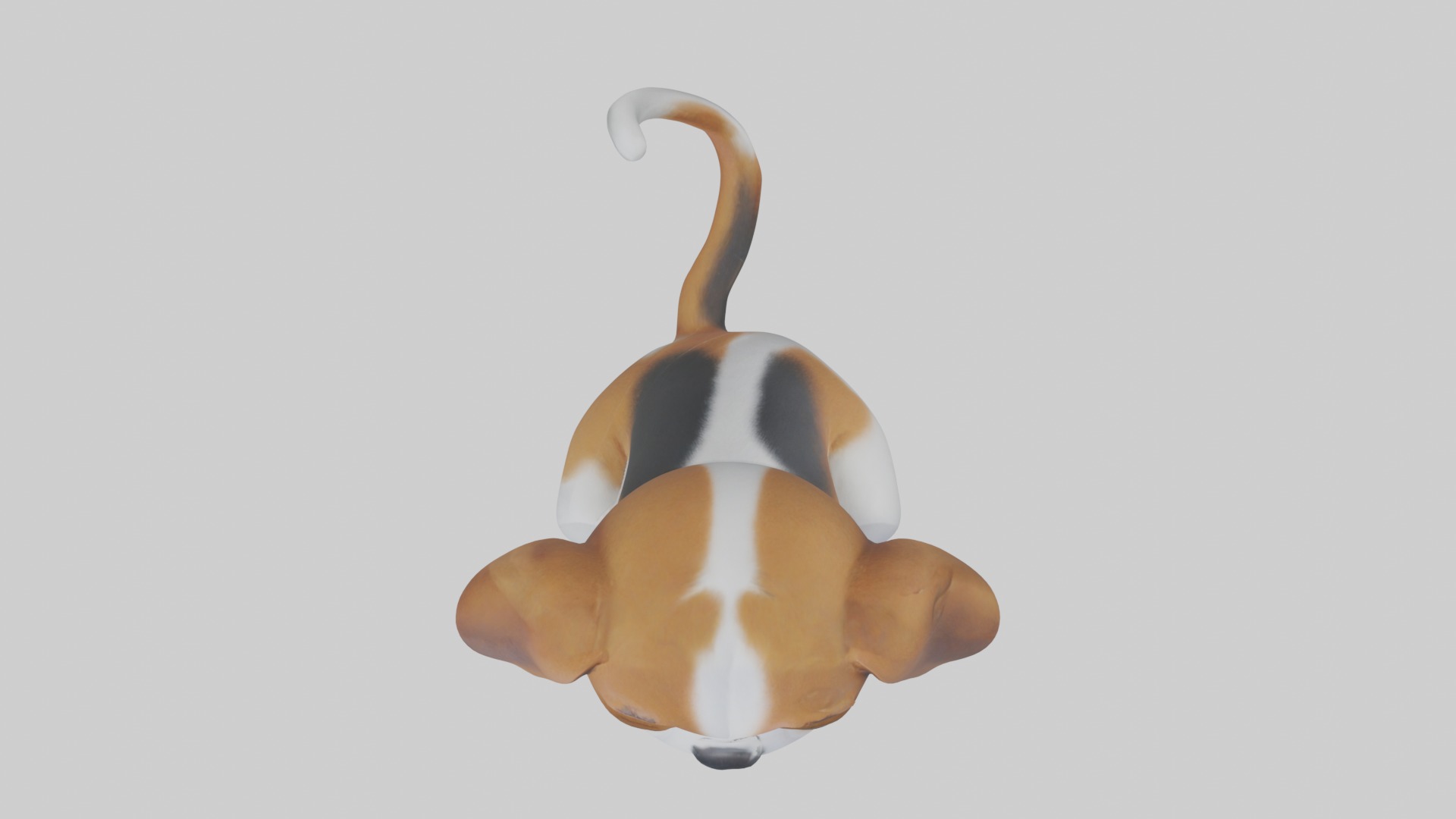 Sitting Beagle model Low-poly 3D model_8