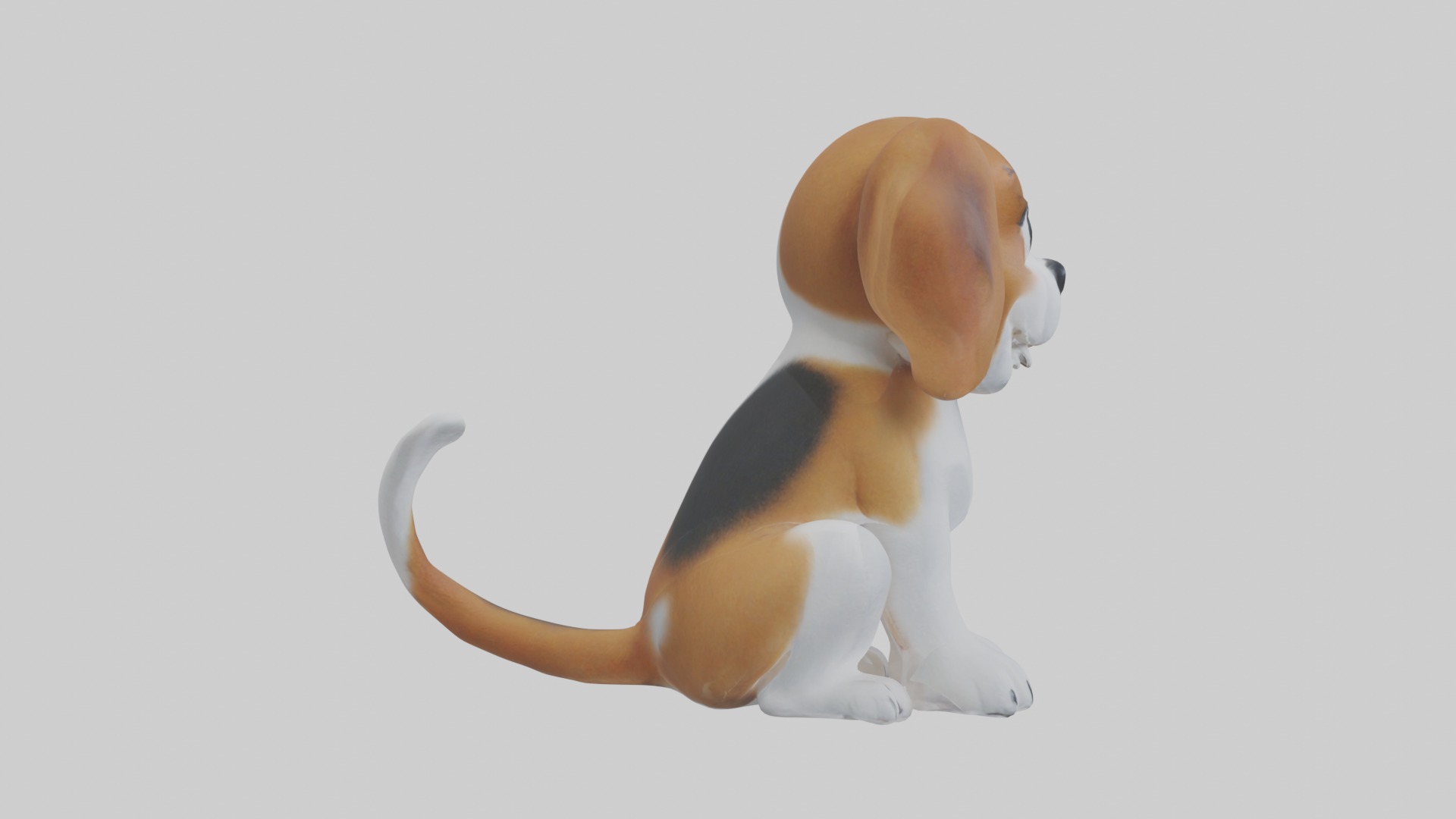 Sitting Beagle model Low-poly 3D model_7