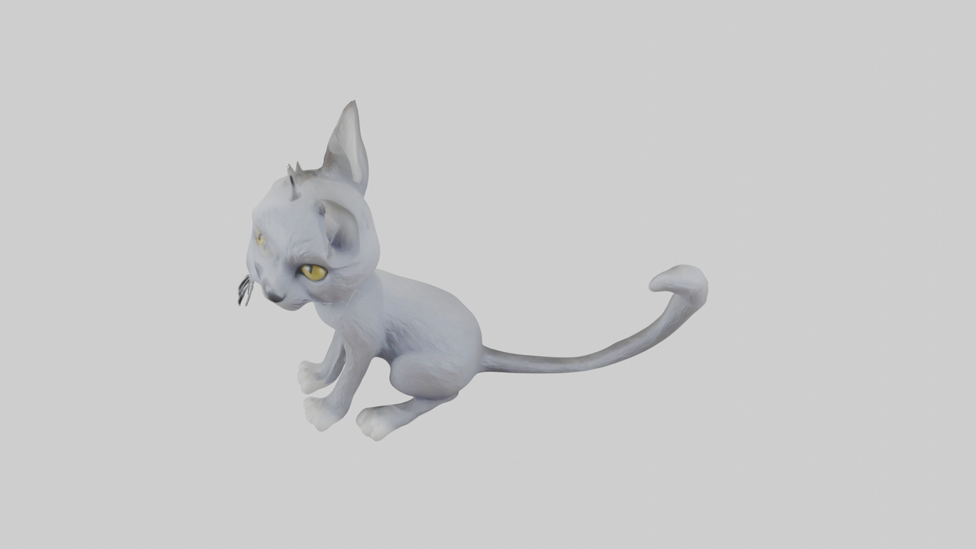 Sitting Australian Mist Cat model Low-poly 3D model_10