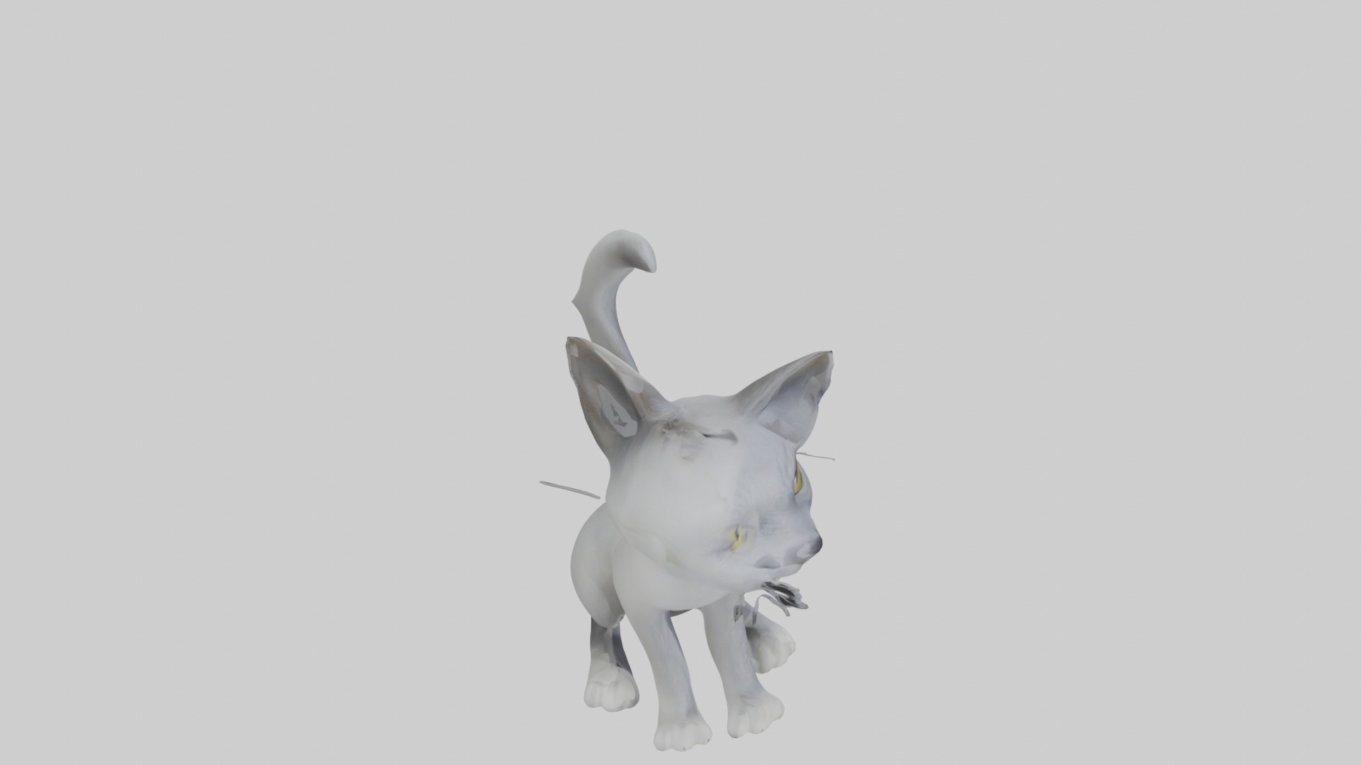 Sitting Australian Mist Cat model Low-poly 3D model_12