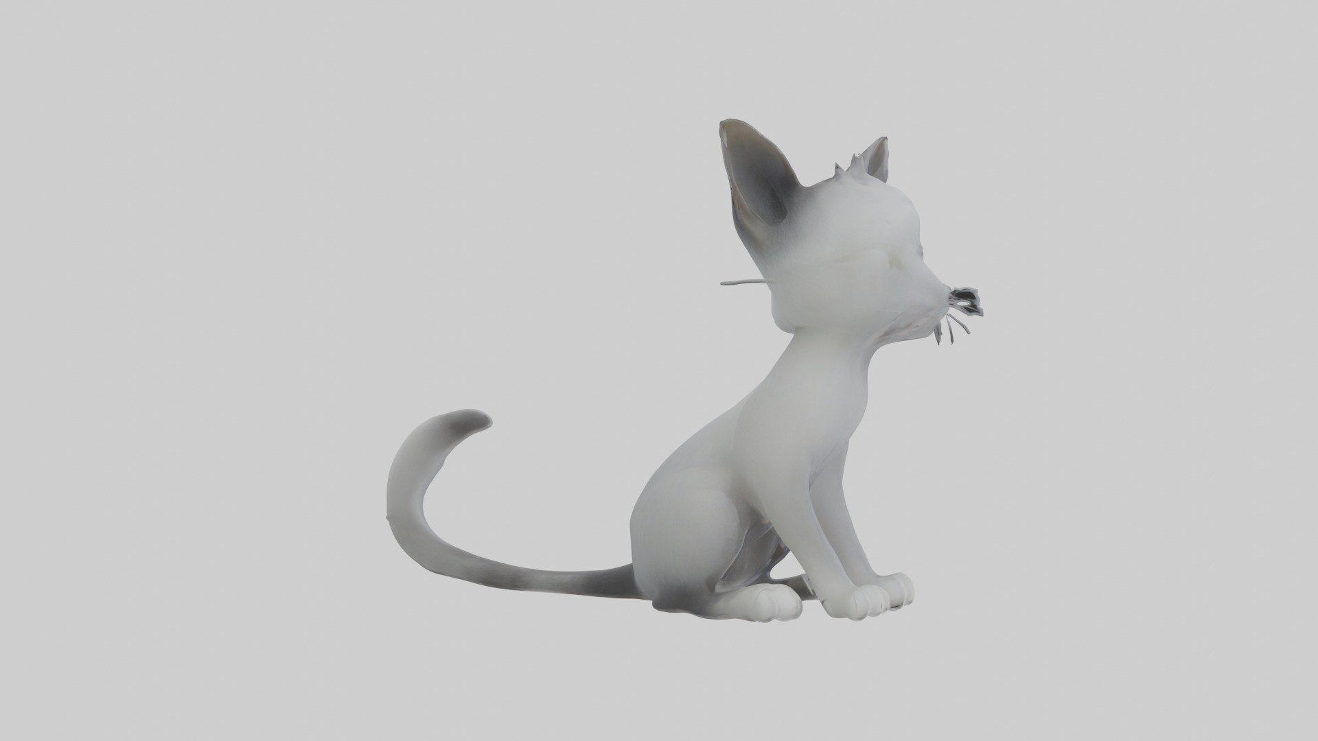 Sitting Australian Mist Cat model Low-poly 3D model_2