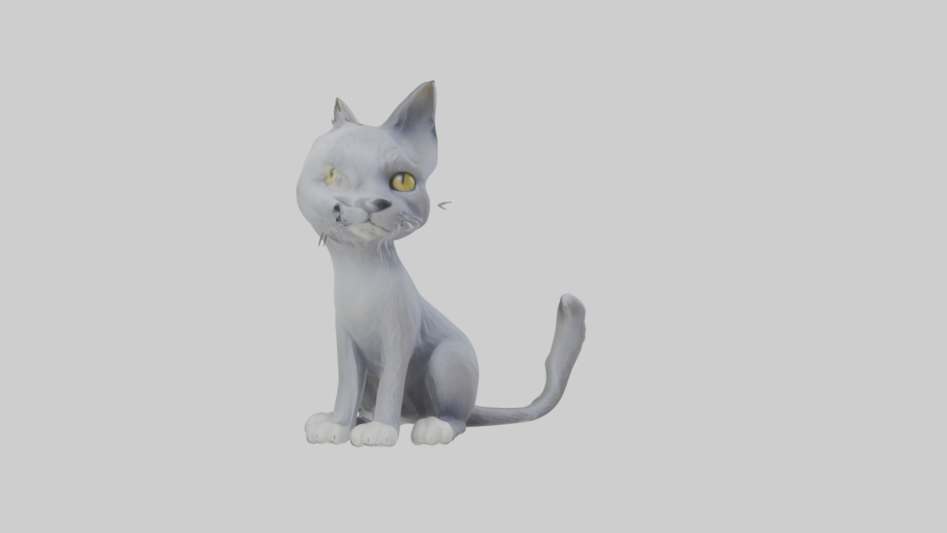 Sitting Australian Mist Cat model Low-poly 3D model_5