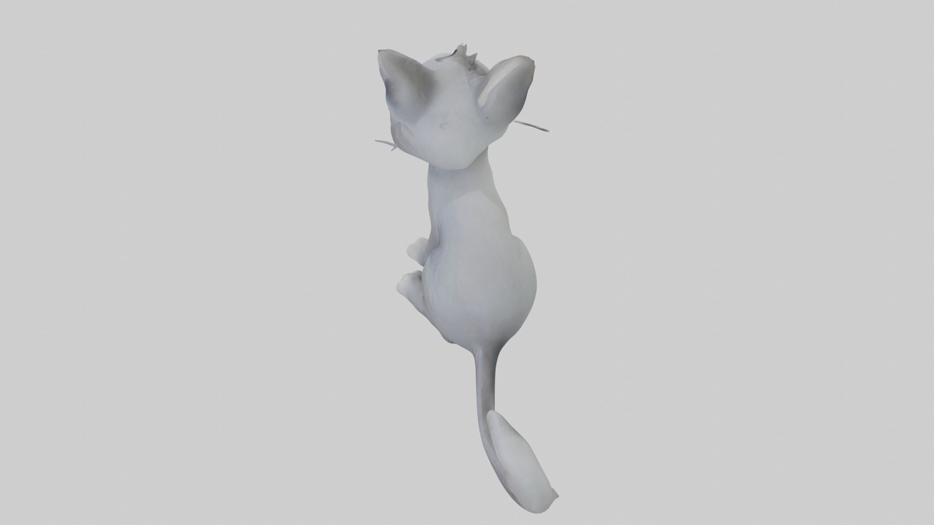 Sitting Australian Mist Cat model Low-poly 3D model_11