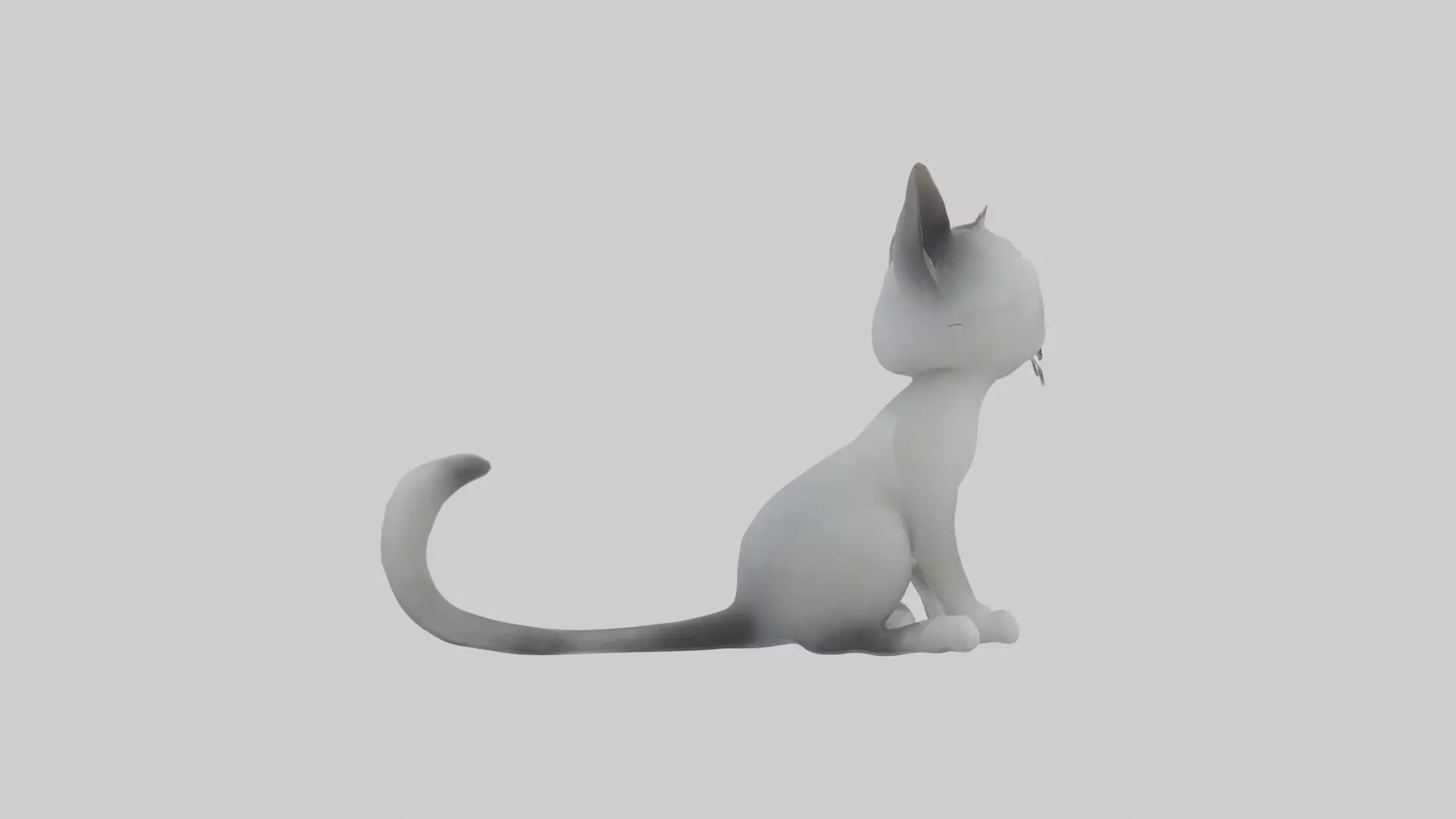 Sitting Australian Mist Cat model Low-poly 3D model_0