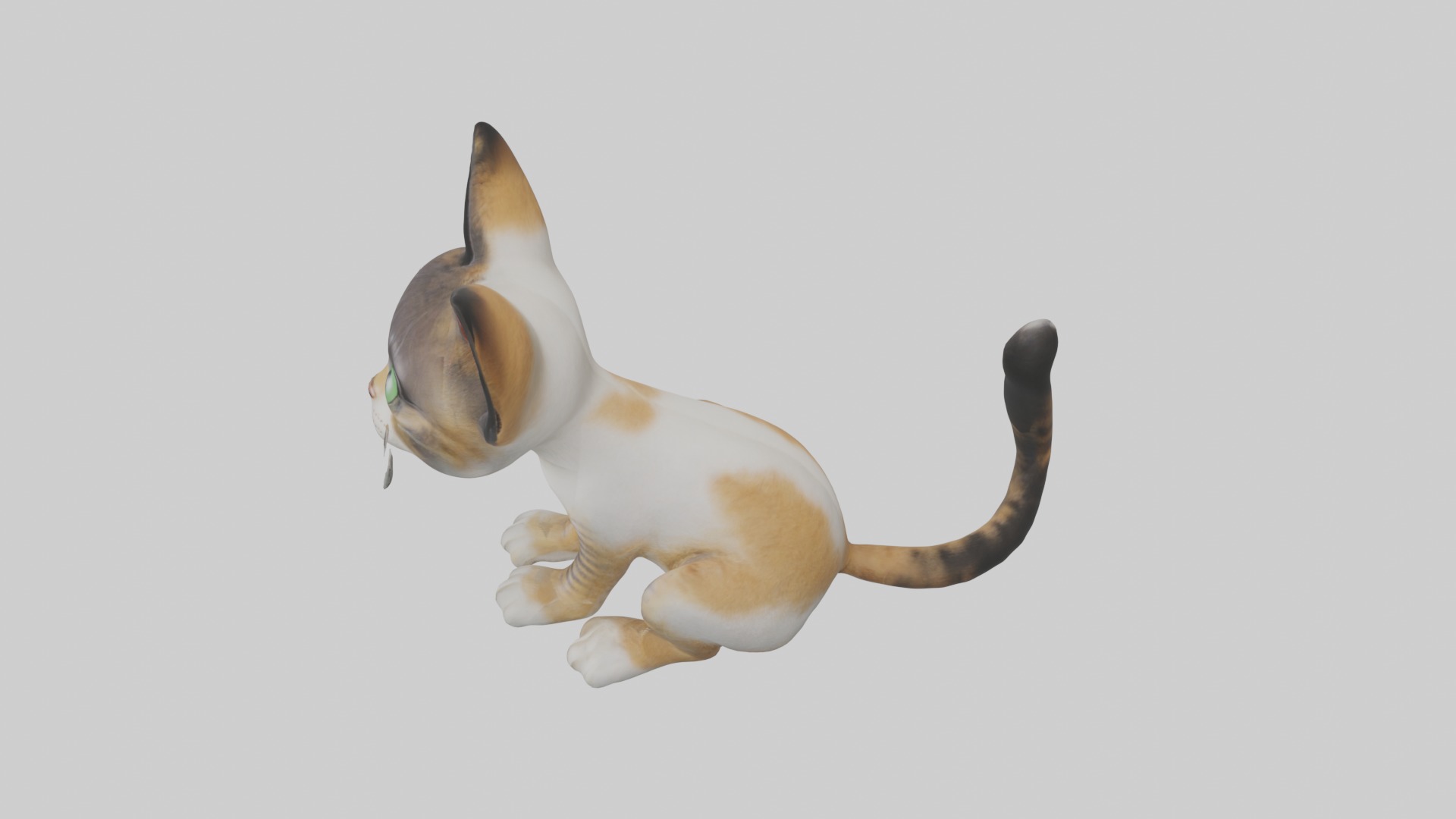 Sitting Asian Cat model Low-poly 3D model_11