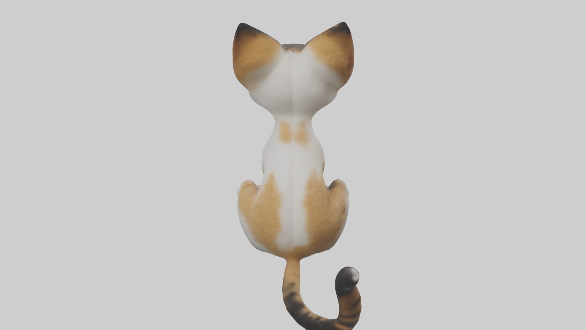 Sitting Asian Cat model Low-poly 3D model_9